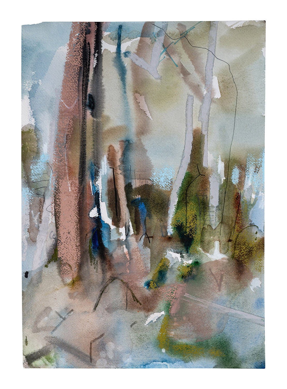   Boranup Forest No 6 , 2021, 69 x 53 cm,  watercolour with pastel and pencil on paper 