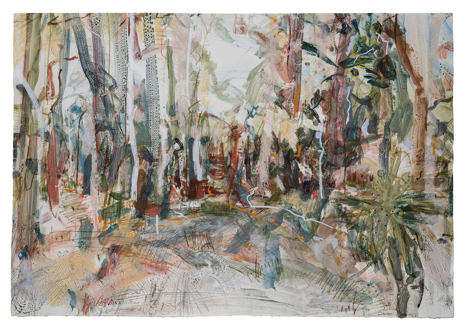   Boranup Forest No 8 , 2021, 75 x 97 cm watercolour monoprint with pastel and pencil on paper  Collected 