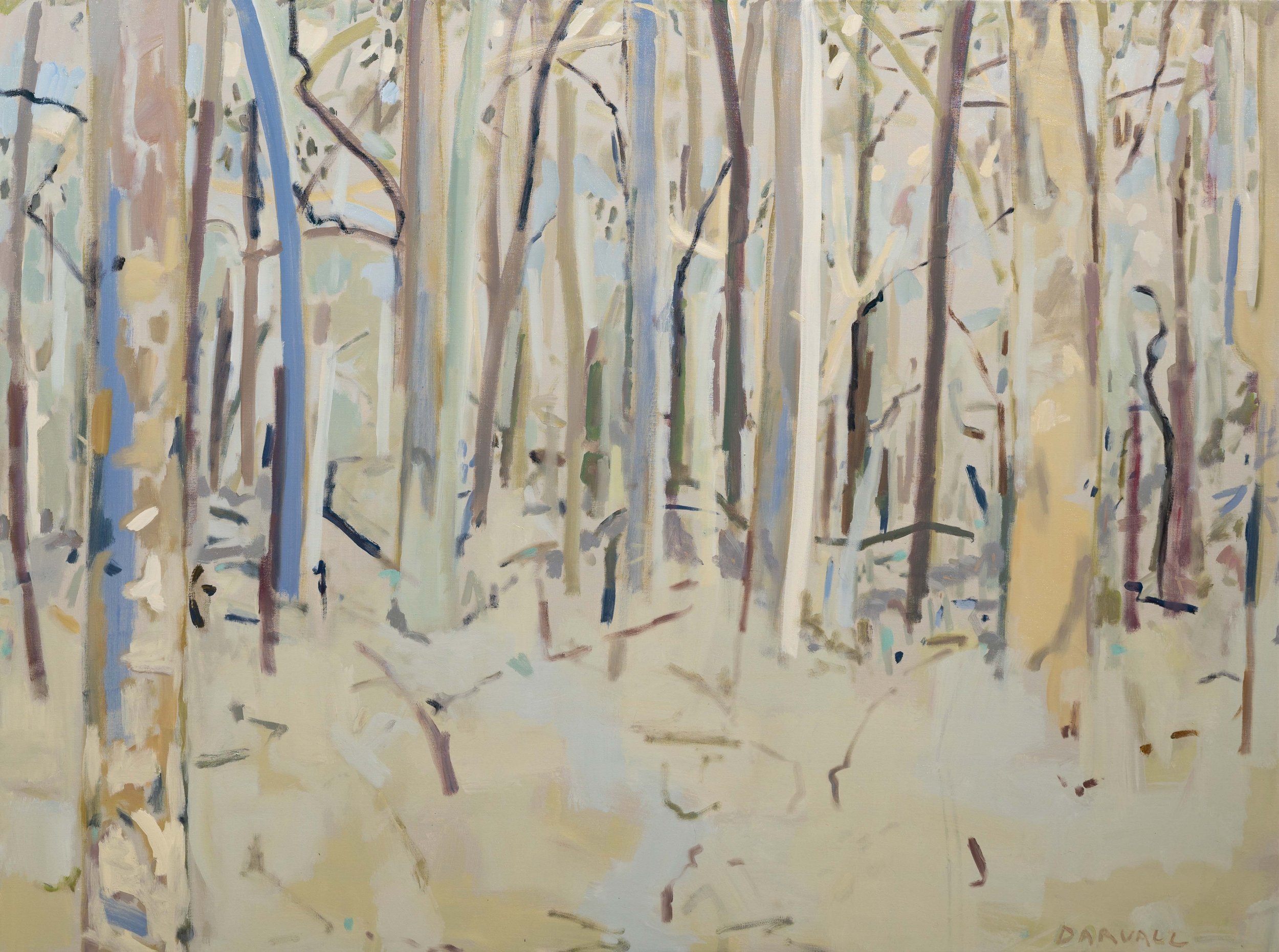   Boranup Forest Light  2022   144 x 192 cm oil on canvas. Collection of the Collie Art Gallery Western Australia. Winning artwork for the 2023 Collie Art Award. 