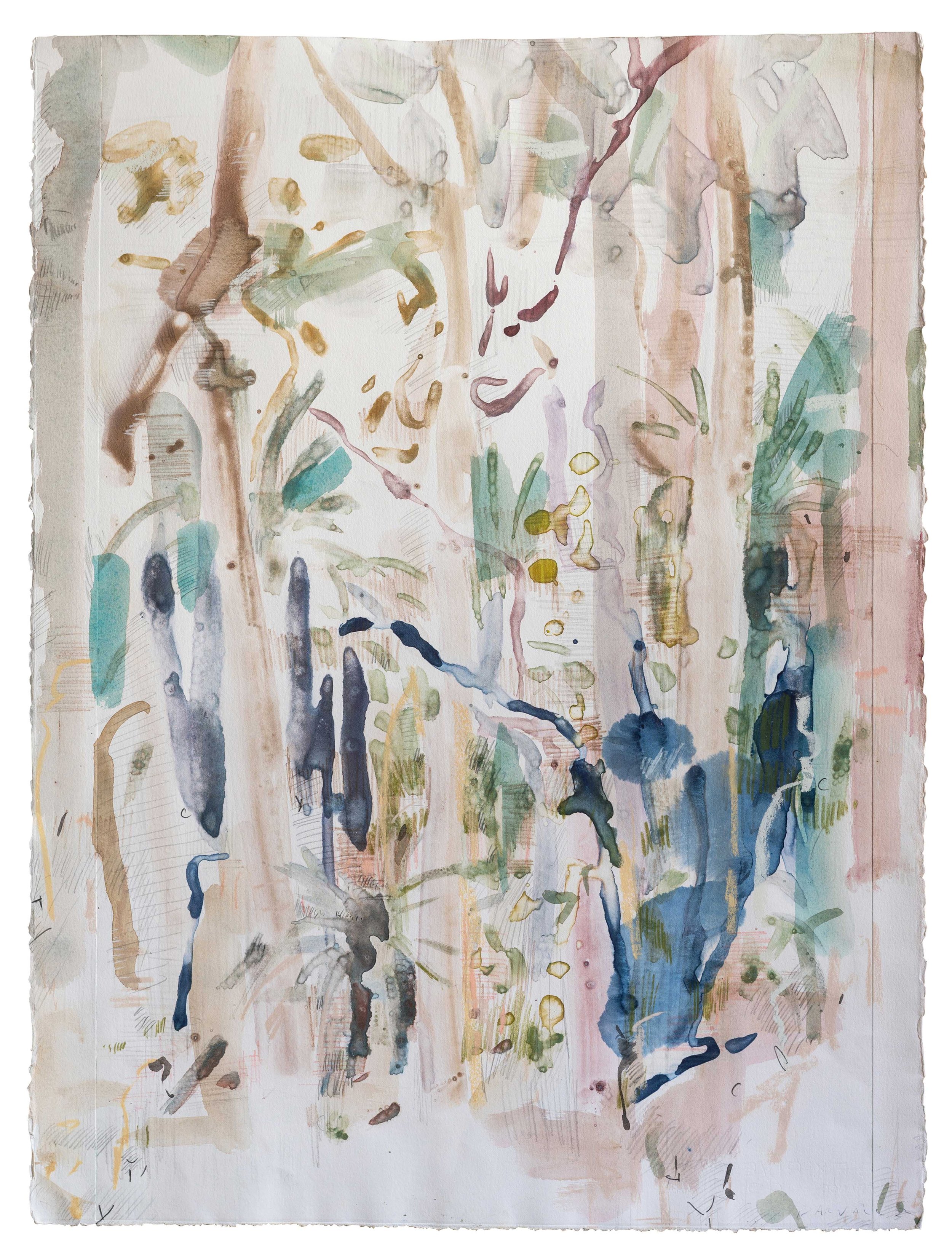   Boranup Forest D  2022  68 x 88 cm watercolour monoprint pencil on Arches BFK   Touring exhibition  2021-2022 The SWAN Form, Bunbry Biennale. (collected)  