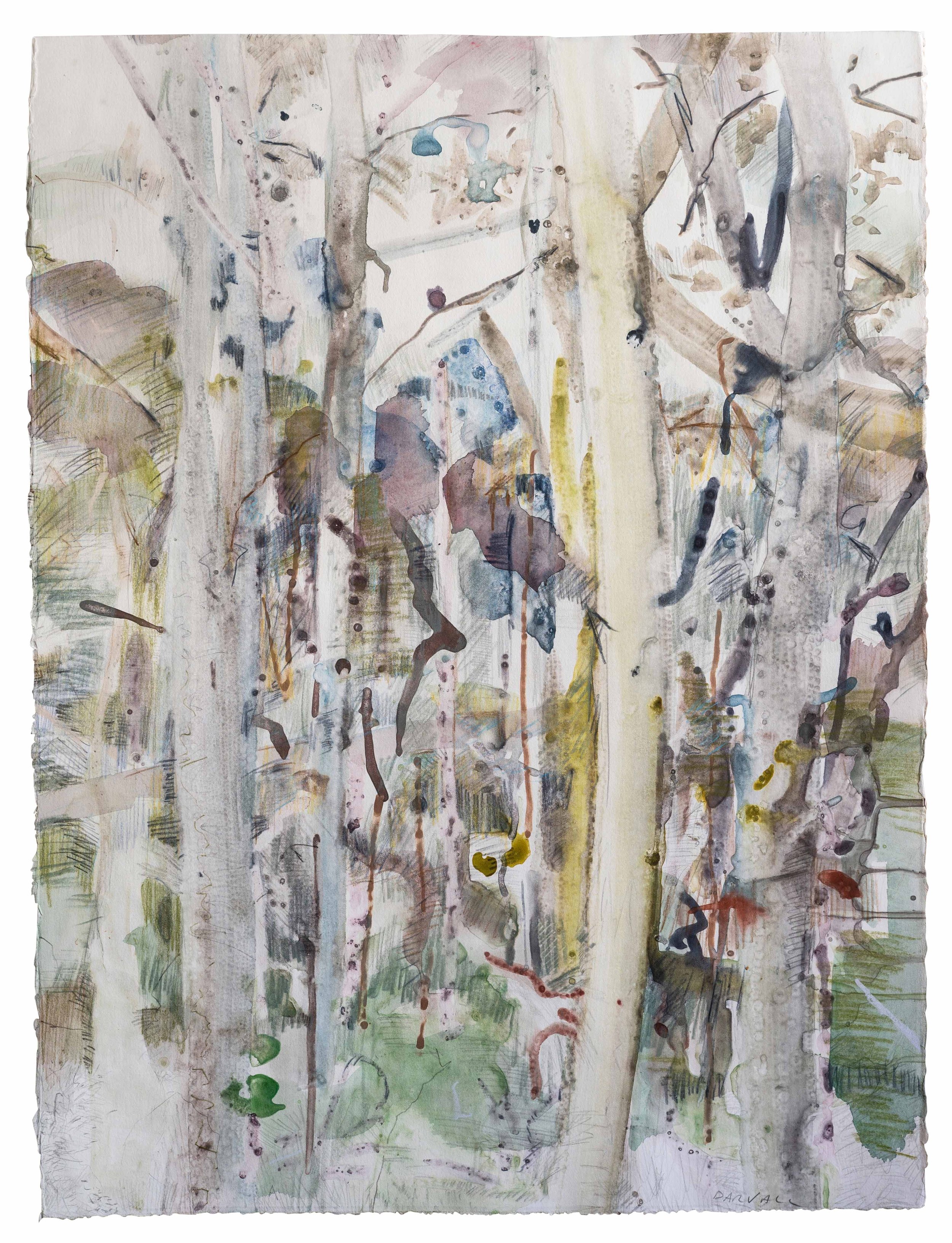  Boranup Forest A 2022 68 x 88 cm watercollour mono print on arches BFK  paper with pastel and pencil  Touring exhibition  2021-2022 The SWAN Form, Bunbry Biennale. (collected)  