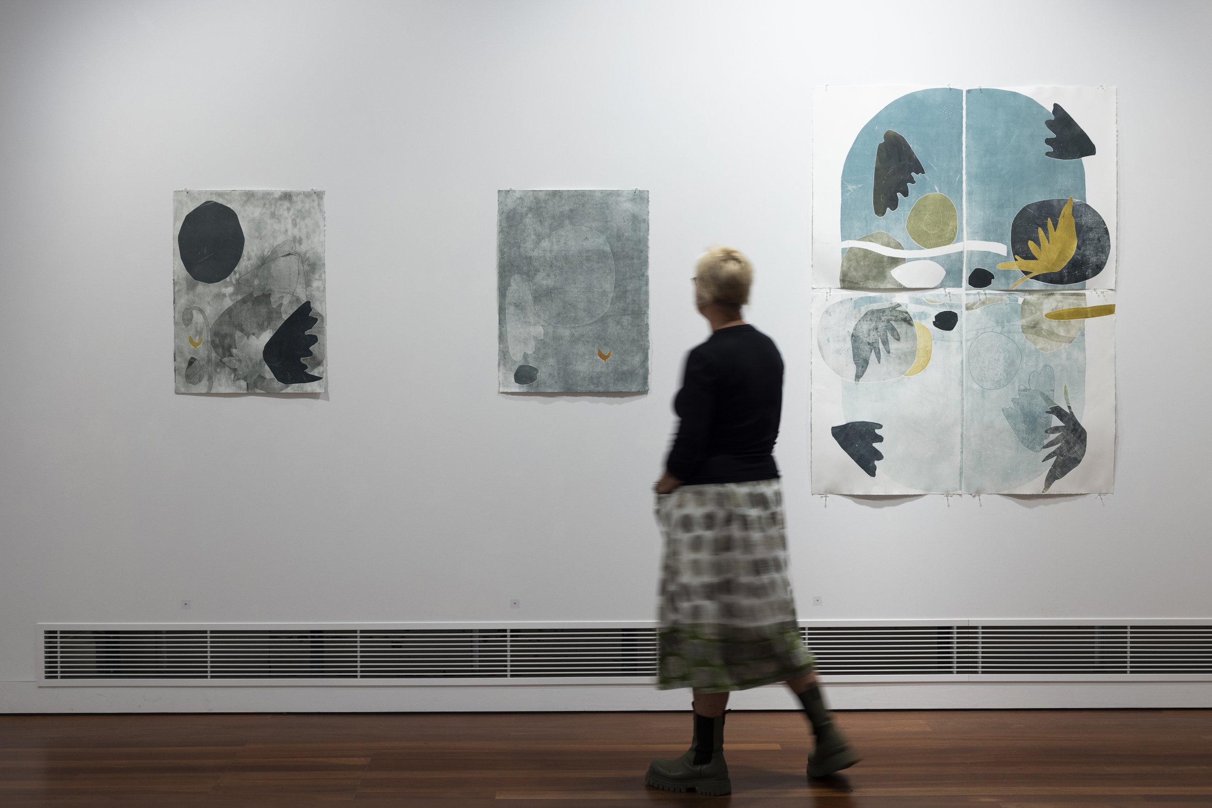  Install Sea Sings Luman and Winged Realm 2023 City of Albany Art Gallery WA. Photo Bo Wong  Sea&nbsp;Sings, Lumen and&nbsp;Wings&nbsp;Realm&nbsp;brings together work by Australian artists Jo Darvall,  Martin King,  and Clare Humphries, who explore c