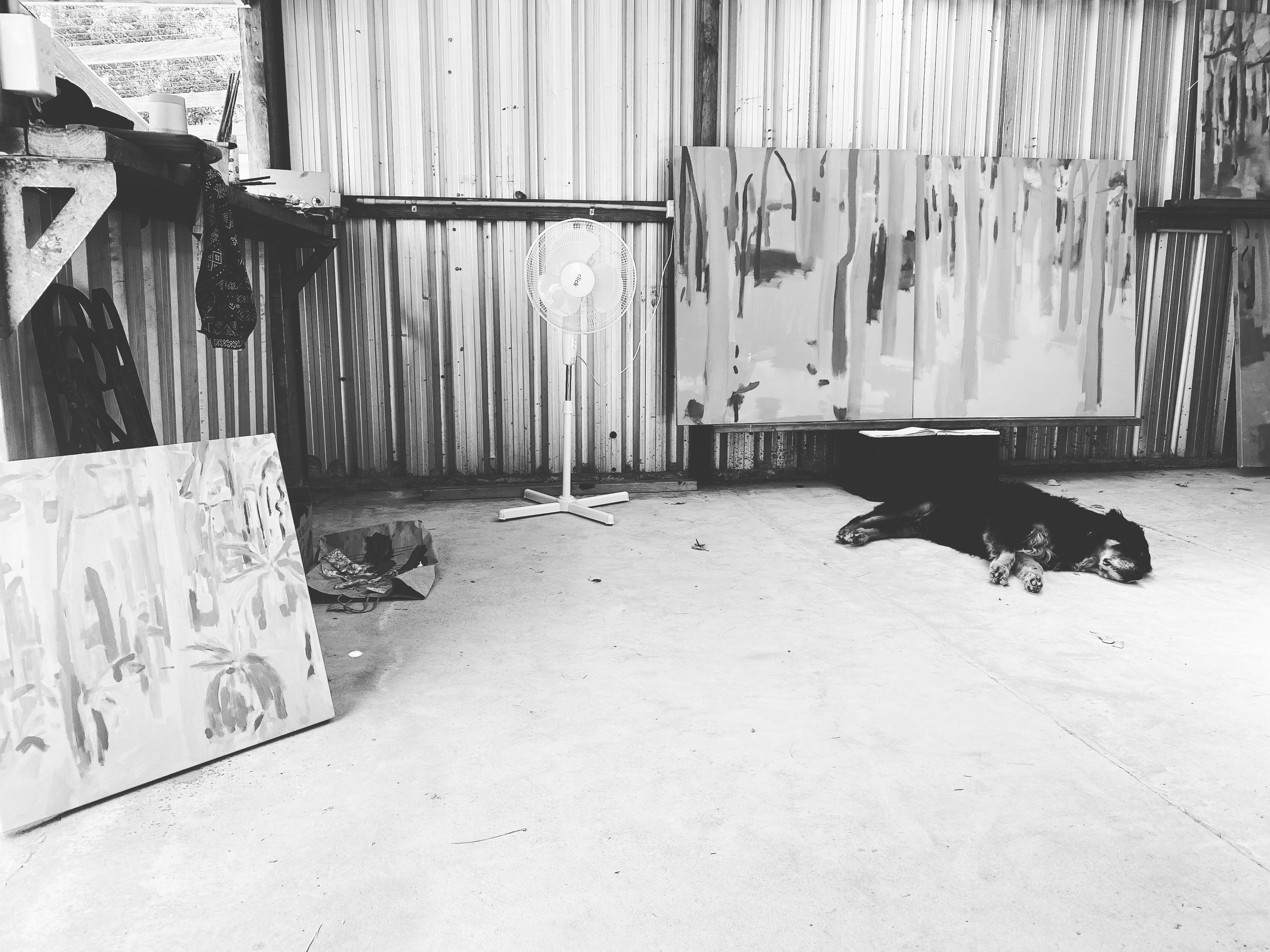  Shed studio Borranup Forest and Bob the dog. 