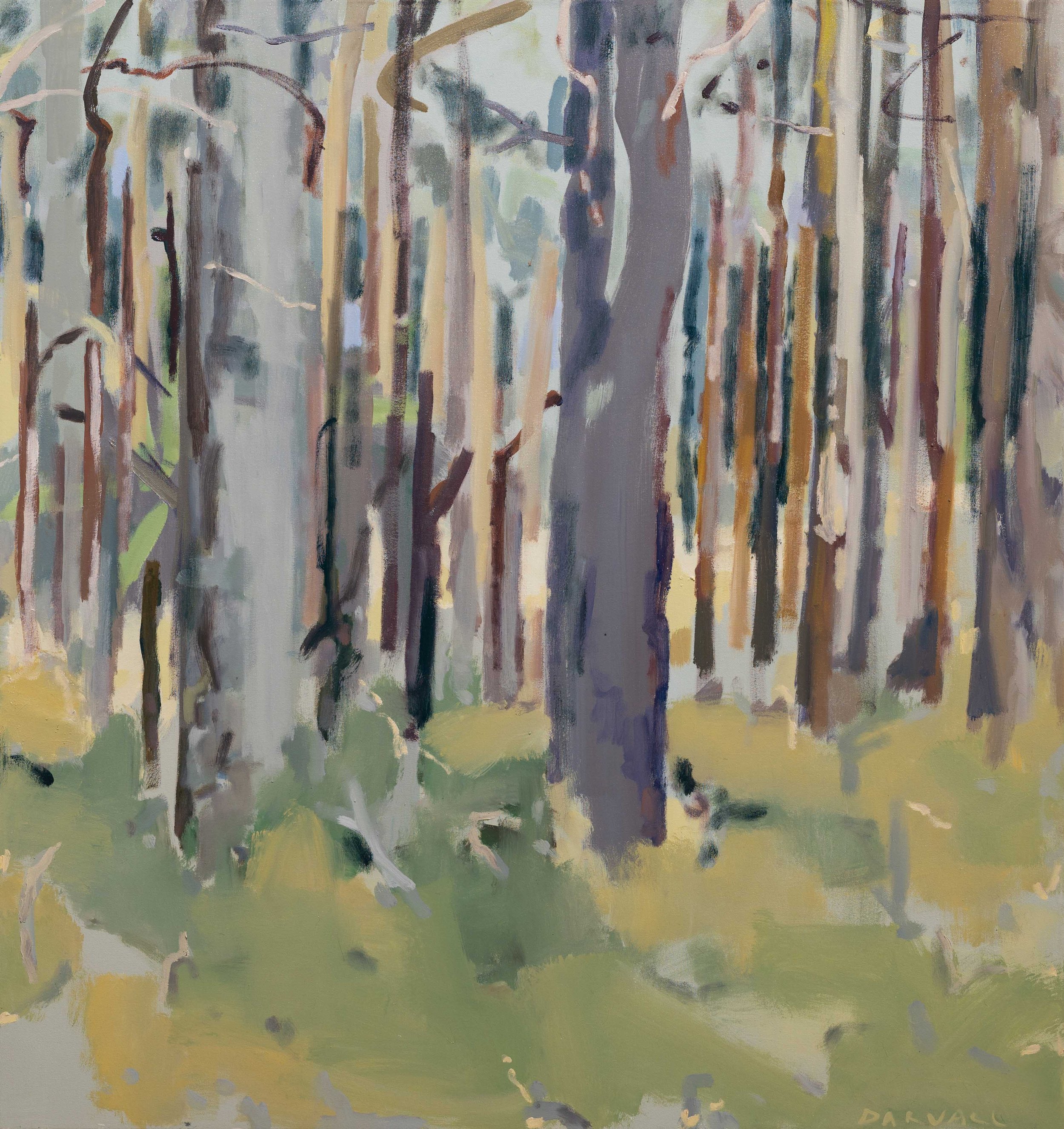  Boranup Forest Black Light 2022 oil on canvas 120.5 x 120 cm  (Finalist Perth Landscape Prize, collected)  
