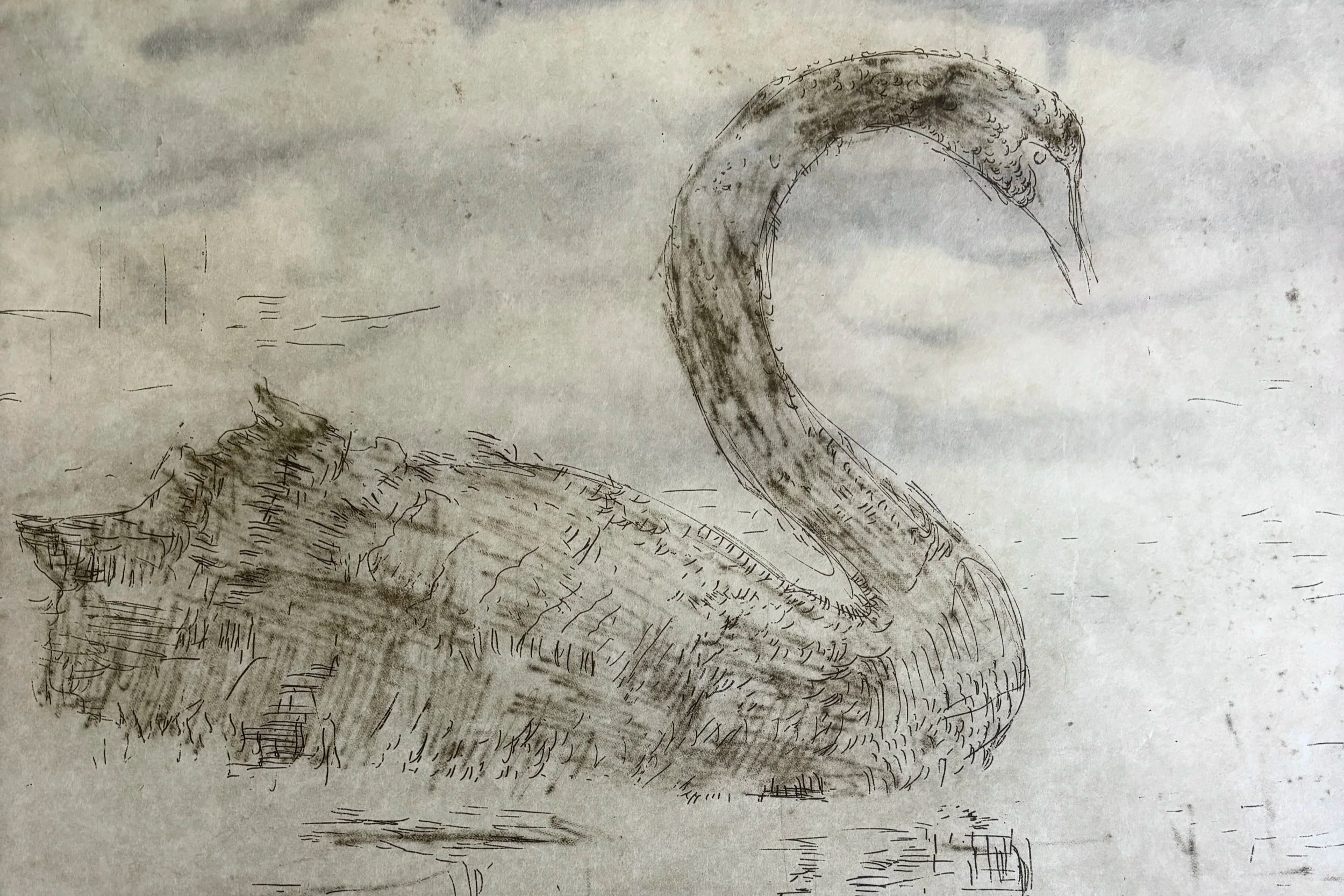 Paper Thin, Skin Deep