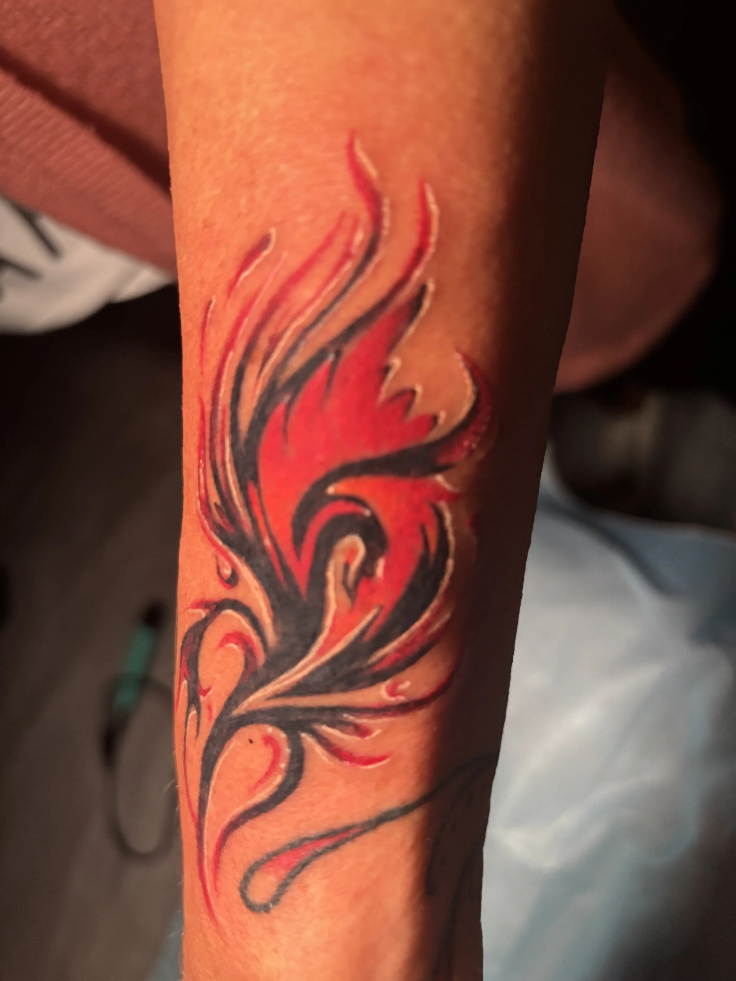 IMG_0803.jpeg