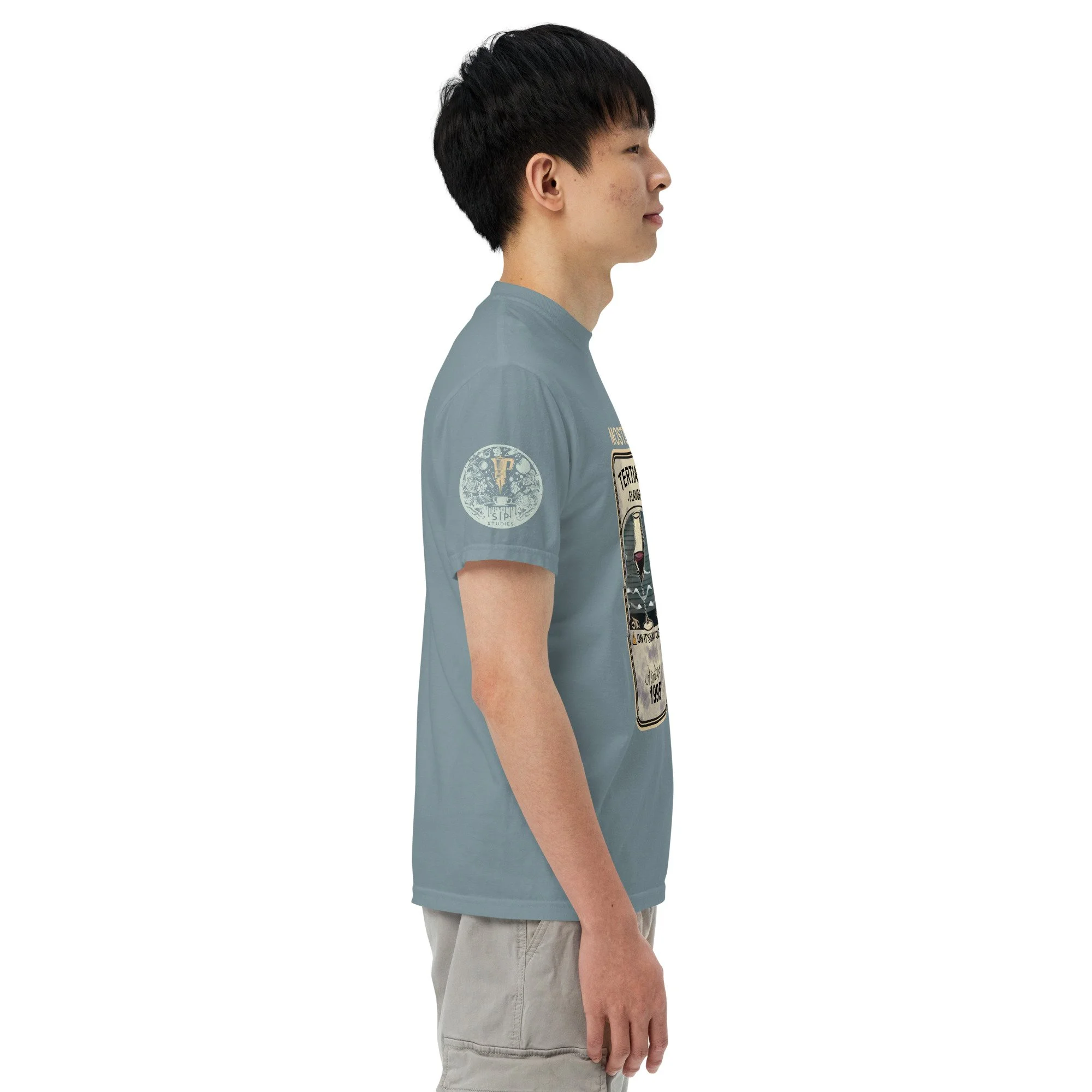unisex-garment-dyed-heavyweight-t-shirt-ice-blue-right-679338cbab4b9.jpg