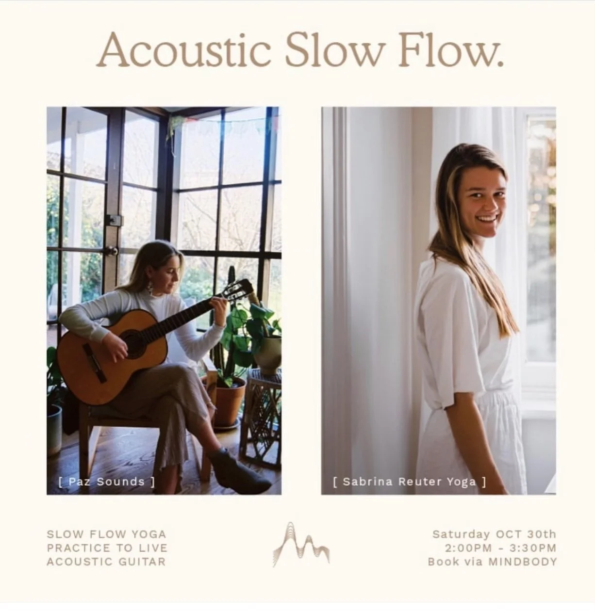 Acoustic Slow Flow