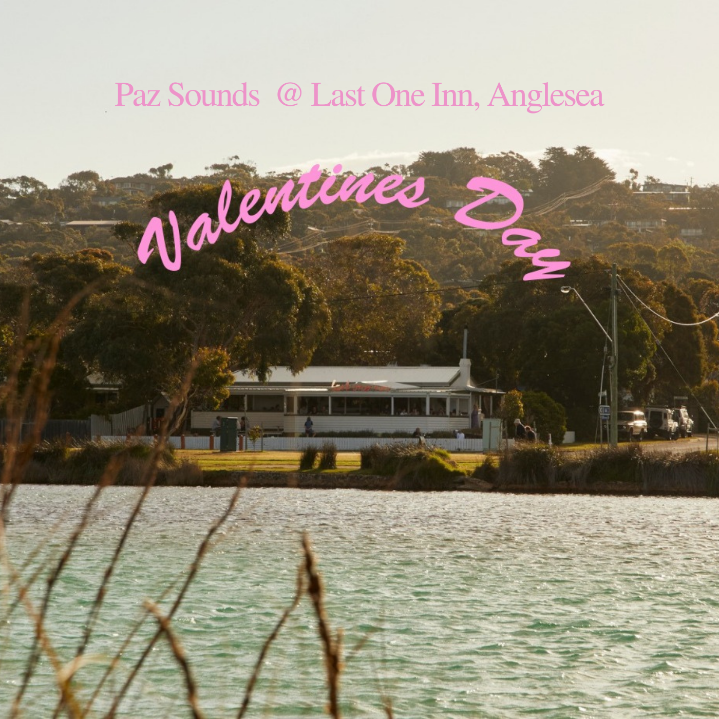 Valentines Day at Last One Inn with Paz Sounds