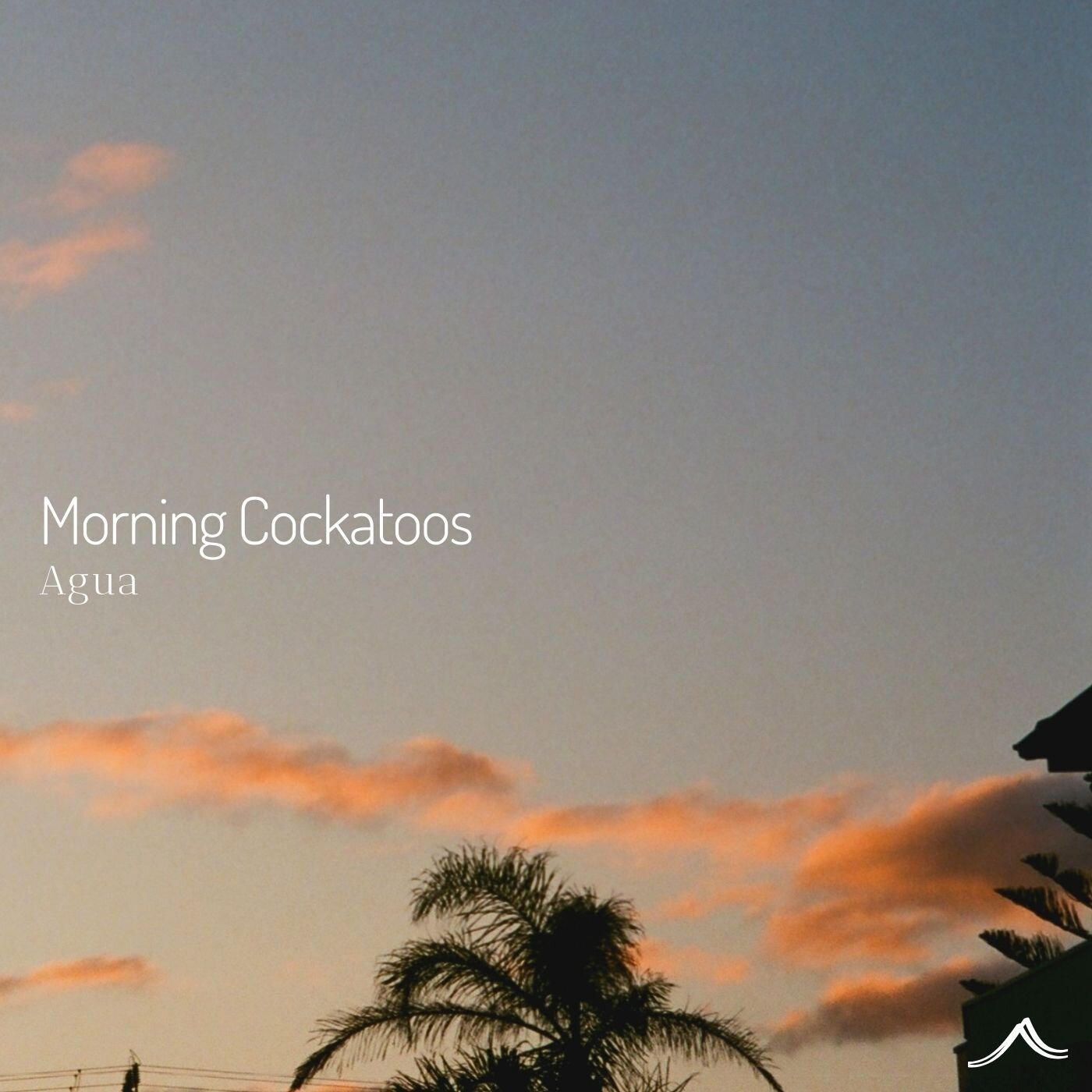 Just released my latest field recording on my Agua profile with Soothe Sounds label - 'Morning Cockatoos.' 🎶 

Immerse yourself in the breathtaking sunrise at Kilcunda, VIC, Australia, where black cockatoos paint the coastal air with their majestic 