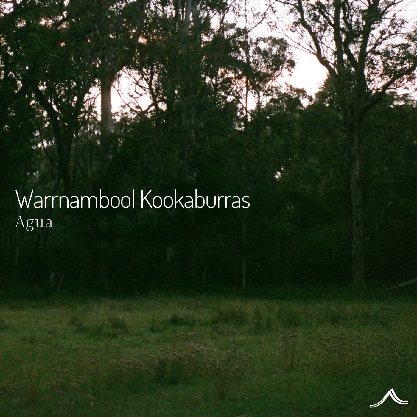 Back with another field recording, my latest track 'Warrnambool Kookaburras' is now live on Agua profile with Soothe Sounds label. 🎶 

Immerse yourself in the vibrant landscape of Warrnambool, where the laughter of kookaburras blends seamlessly with