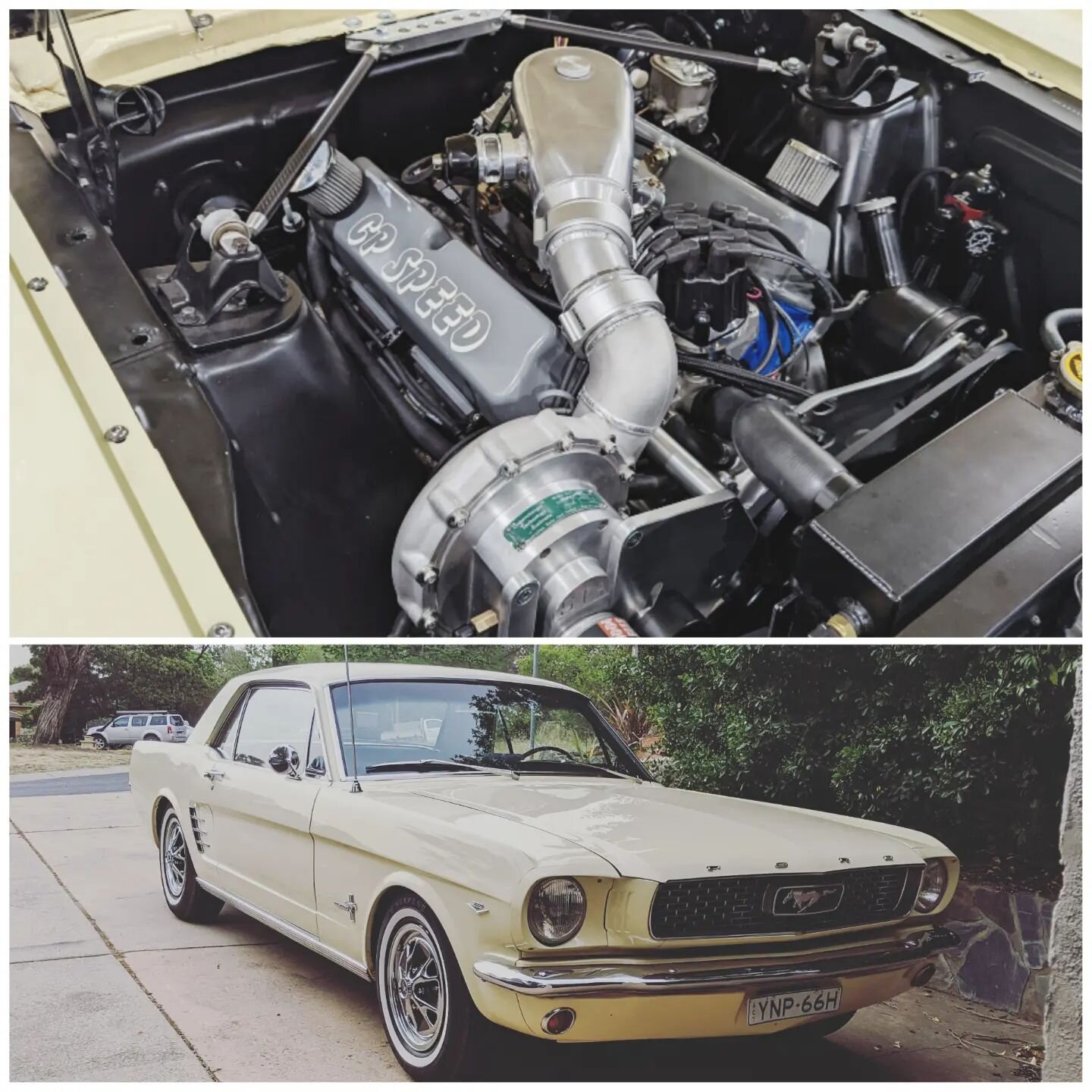 All finished! Supercharger has completely changed this car, need to change the pulley for a little more boost! 

#mustang #66mustang #supercharged #supercharger #windsor #boosted #boost #musclecar #ford