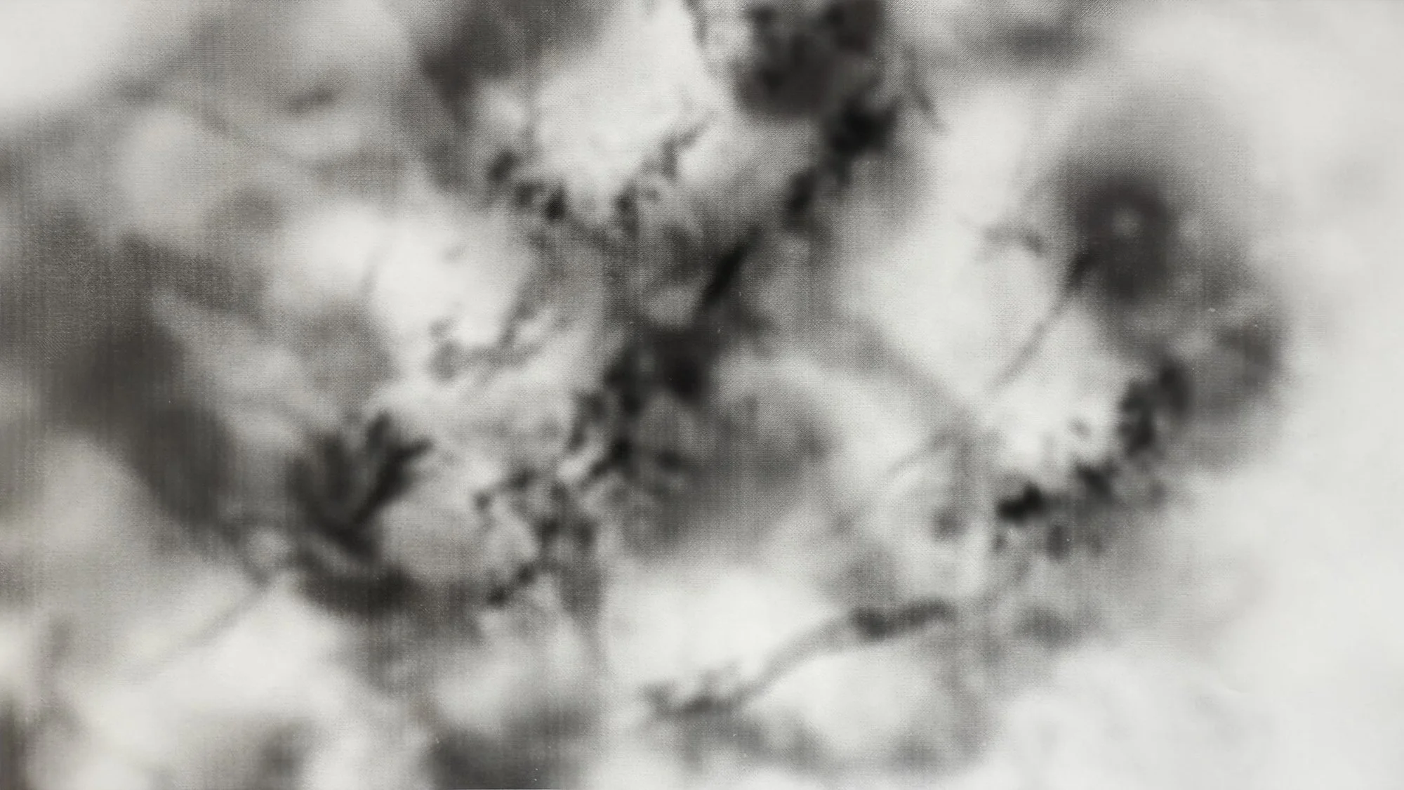 WROT_LT_Part Two-Portrillo_Near Muon Map_02_2K.jpg