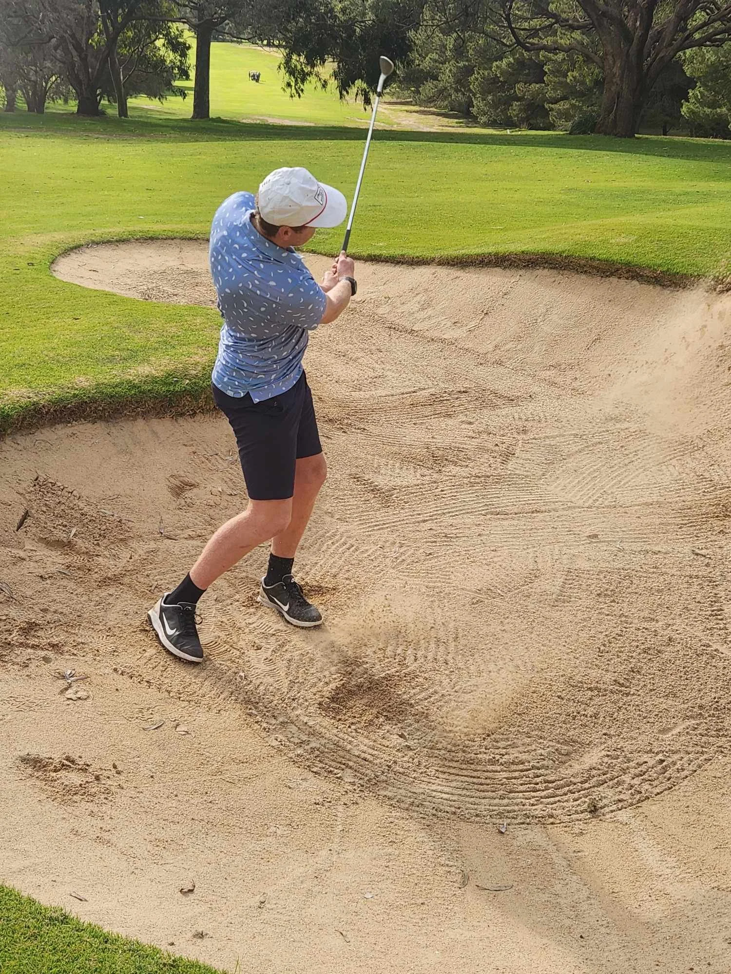 17 8 24 4d Result 17 8 24 4d Result