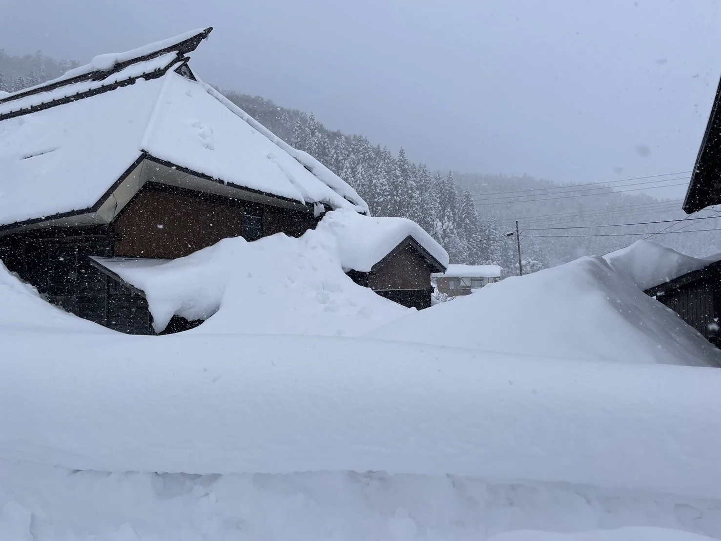 Hazushiba House