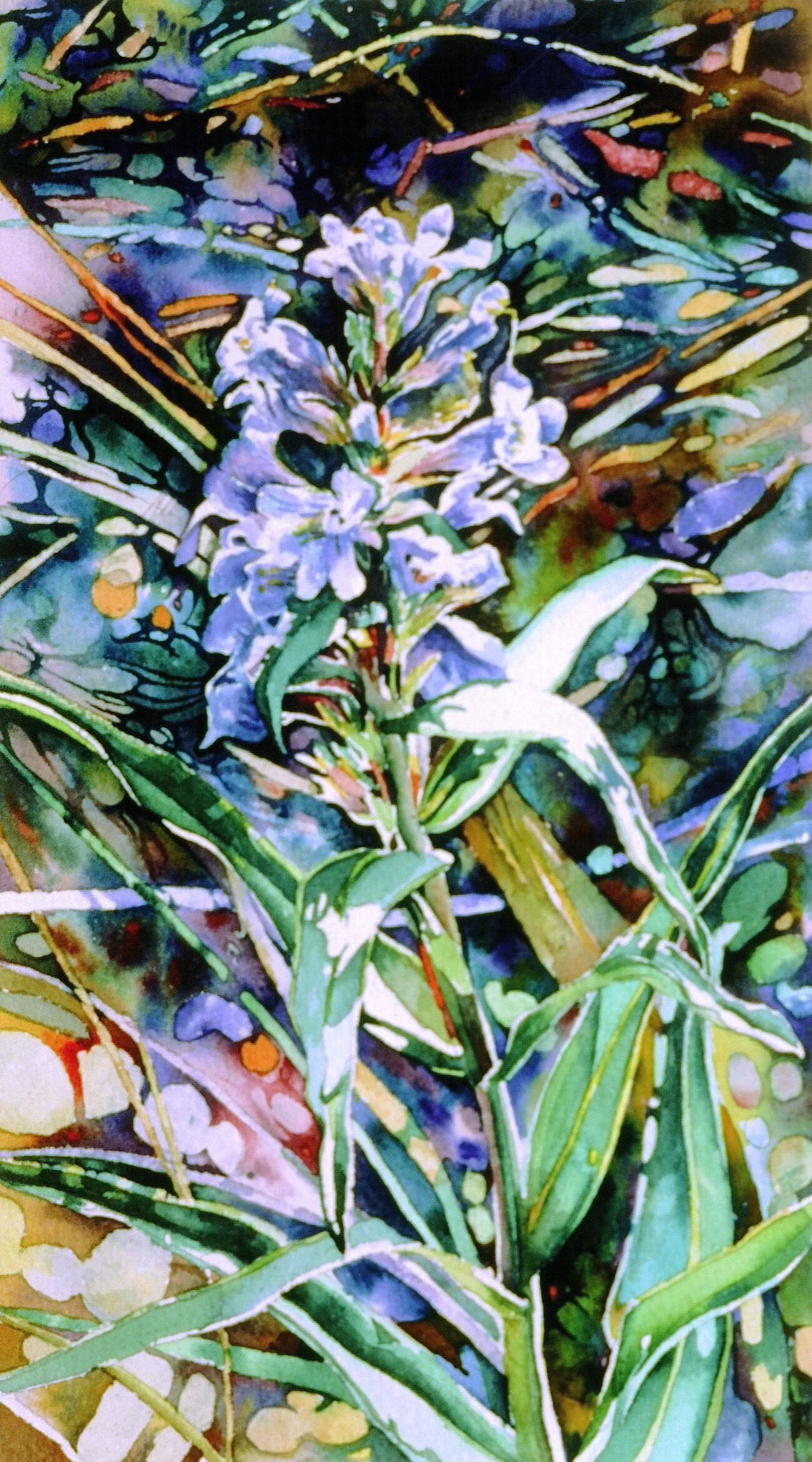 "First Flower Waits" 16x9" Watercolor 1981