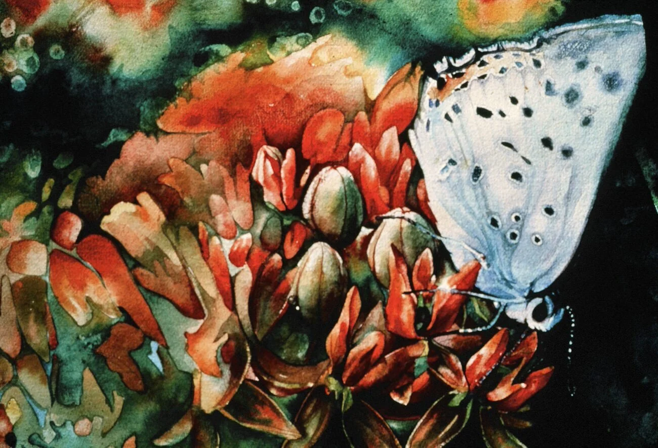 "A New Prairie" 10x15" Watercolor 1981