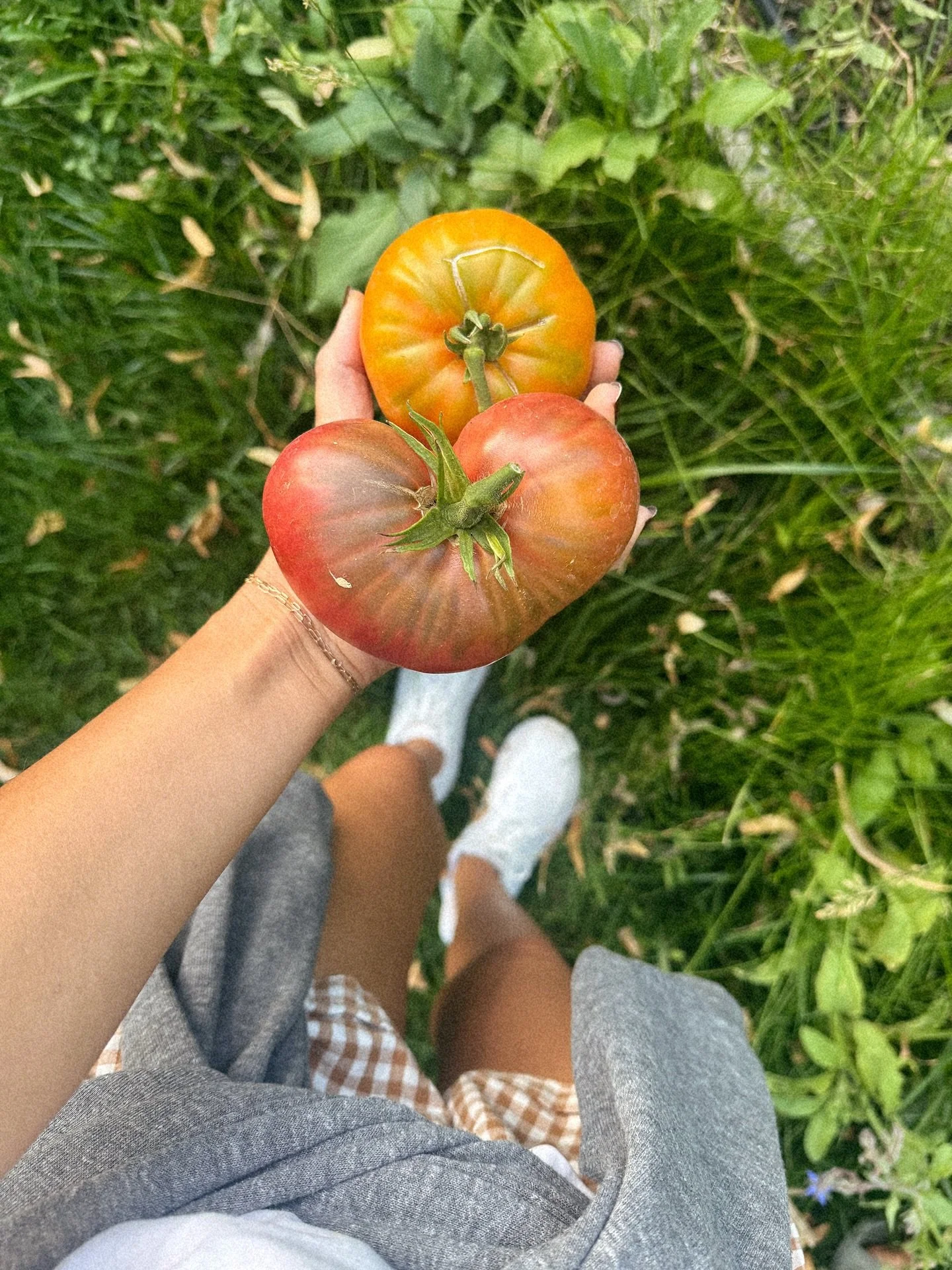We just harvested some yummy things from the garden including this heart-shaped &hearts;️tomato 🍅. The way I squealed because I loved it so much! Growing your own food is beyond fulfilling (and this little treasure reminded me that nature loves us b