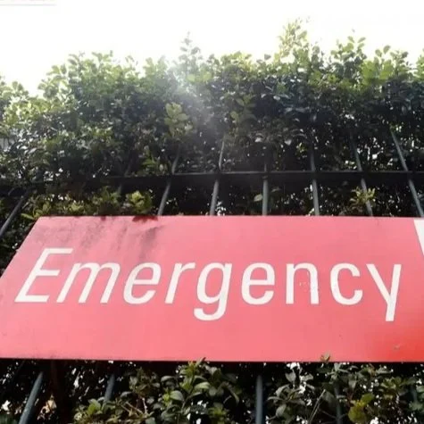 Patients left waiting up to 36 hours as NSW hospitals overwhelmed, inquiry hears
