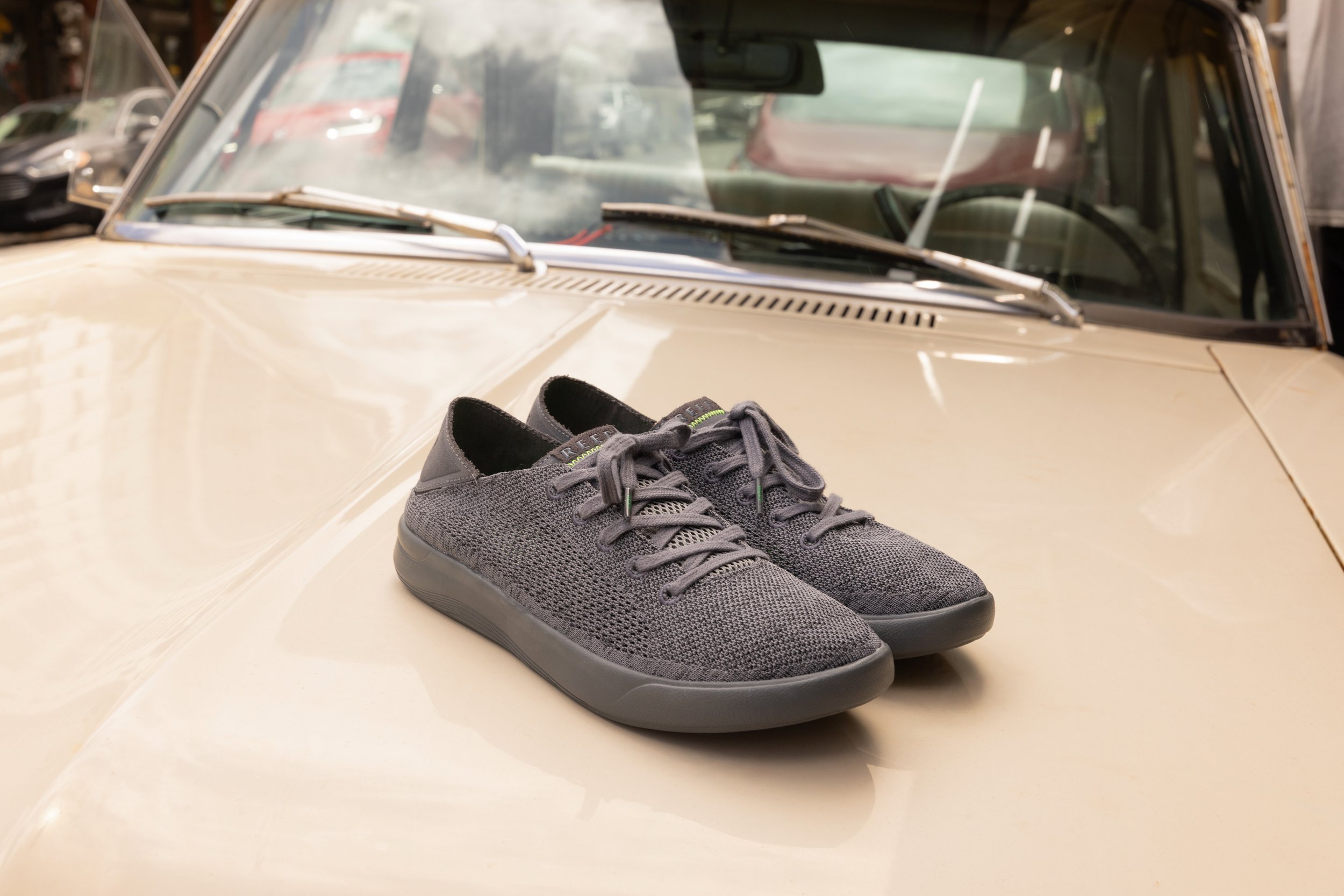 SWELLSOLE NEPTUNE RAVEN CJ6018 1464.jpeg