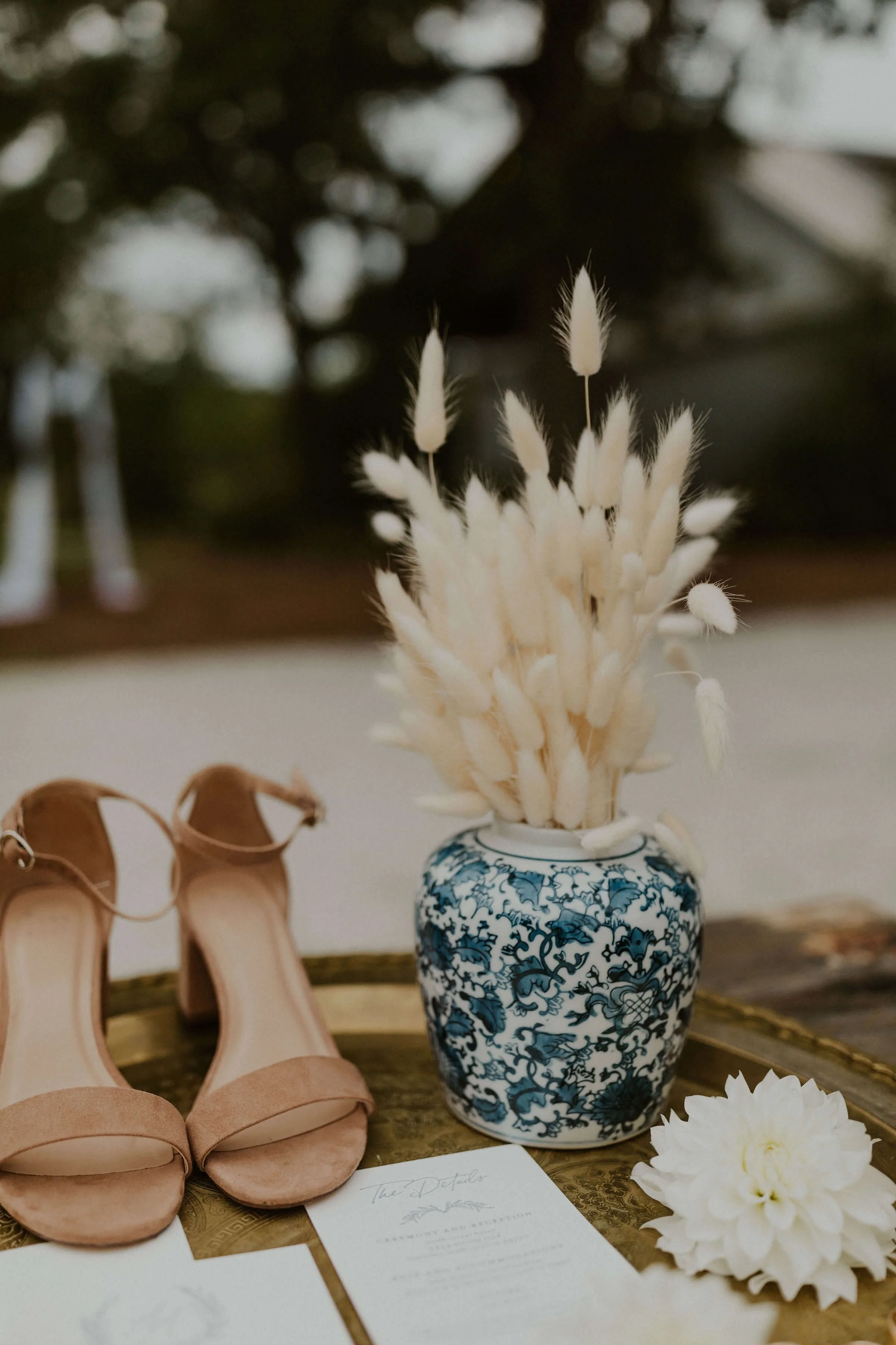 North Corner Haven Wedding Outdoor Wedding