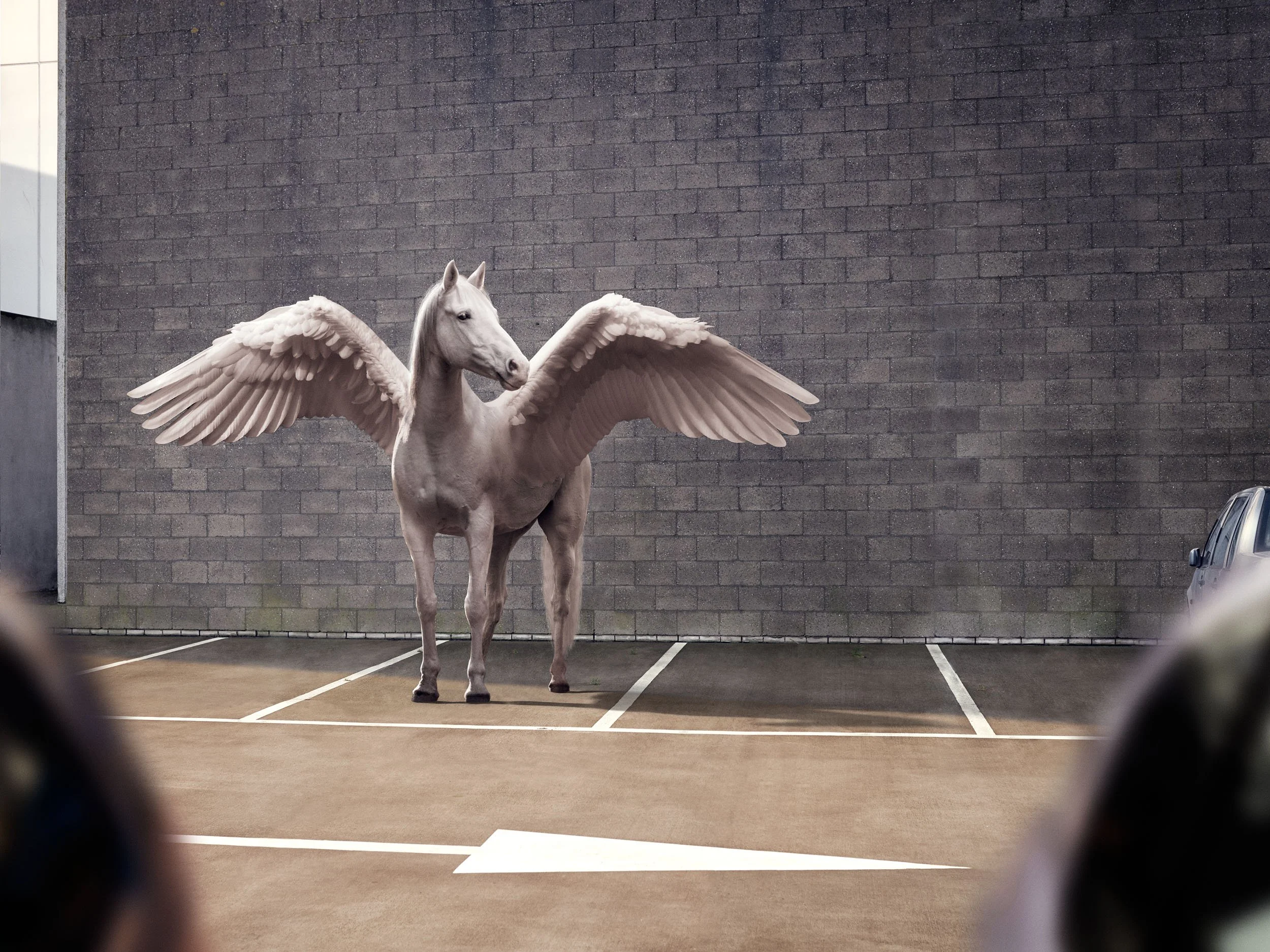 michele_secchi_flying_horse_storytelling.jpg