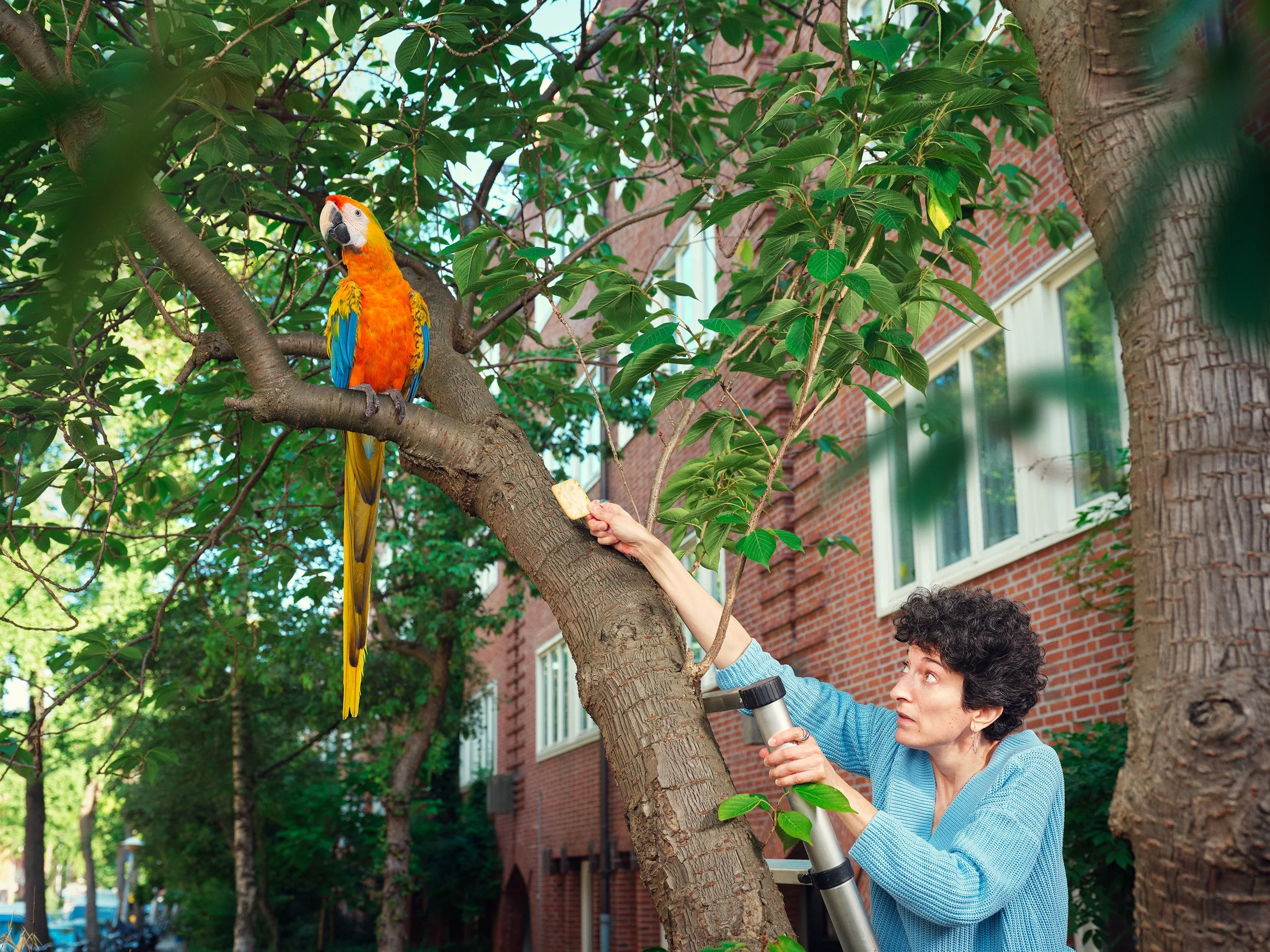 michele_secchi_storytelling_fish_dear_animals_parrot_01.jpg