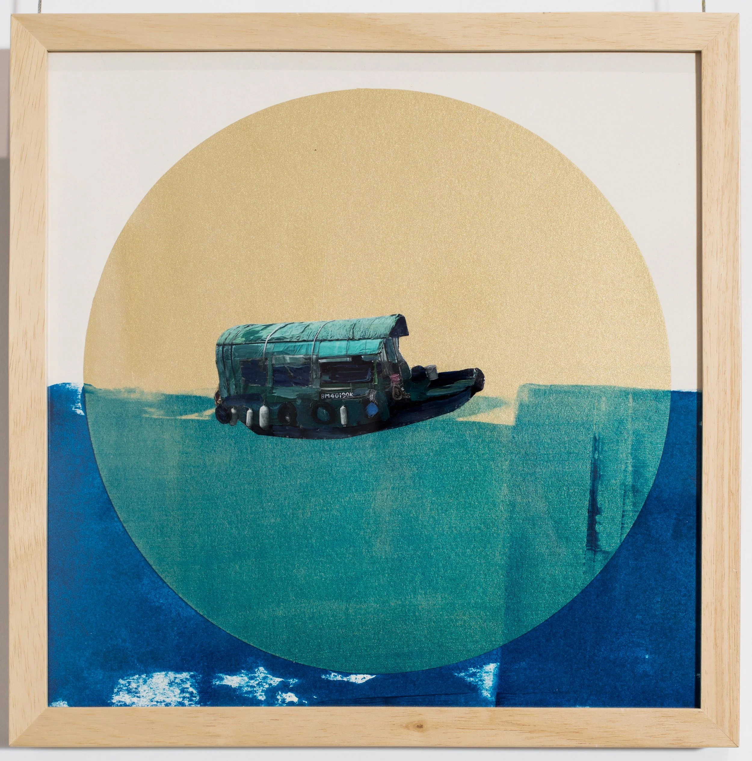 Why Do Fish Jump Out of Water? Portfolio Stephanie Barenz