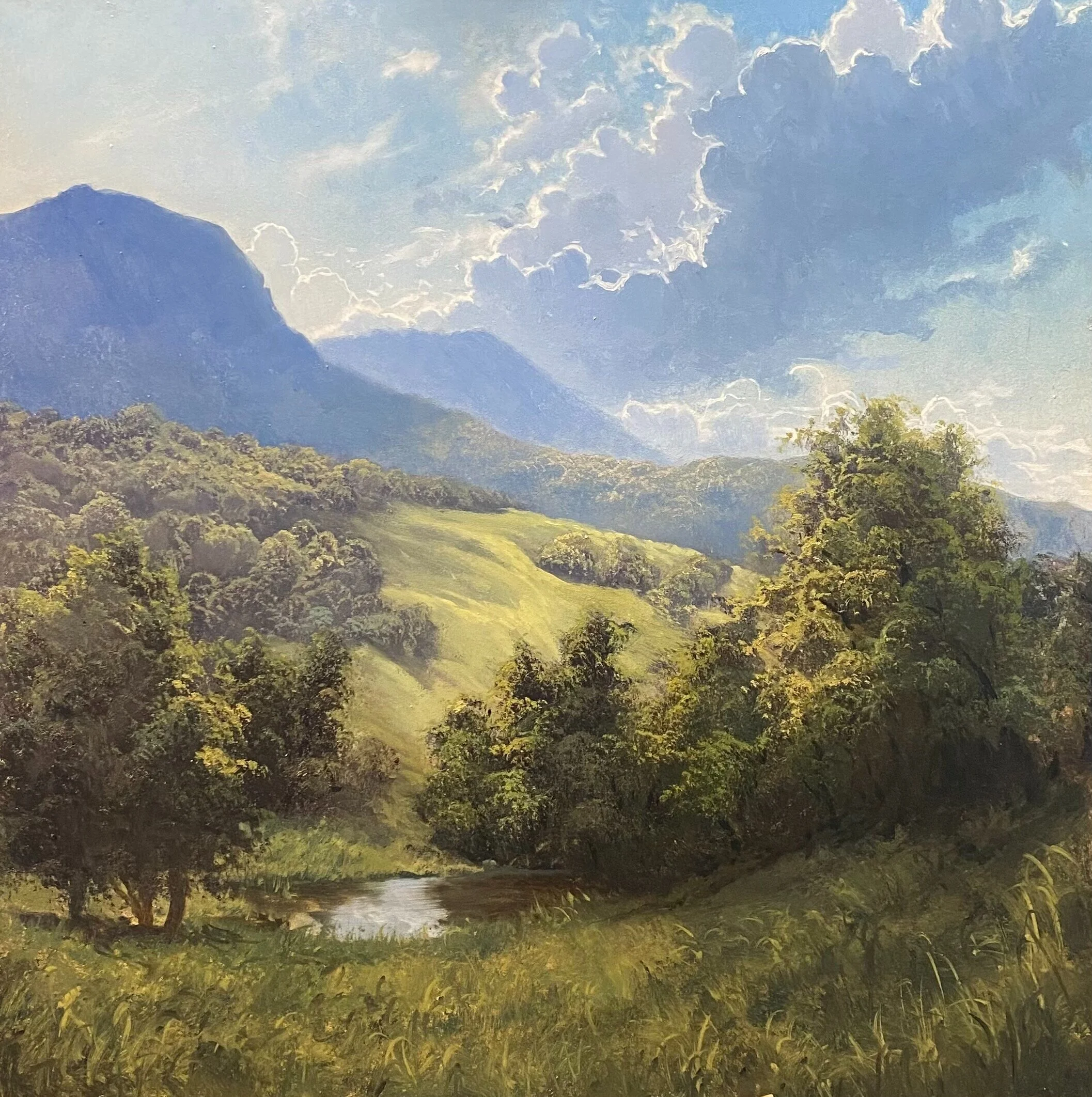 Border Ranges - Doyle's Landscape Prize Winner - 2022