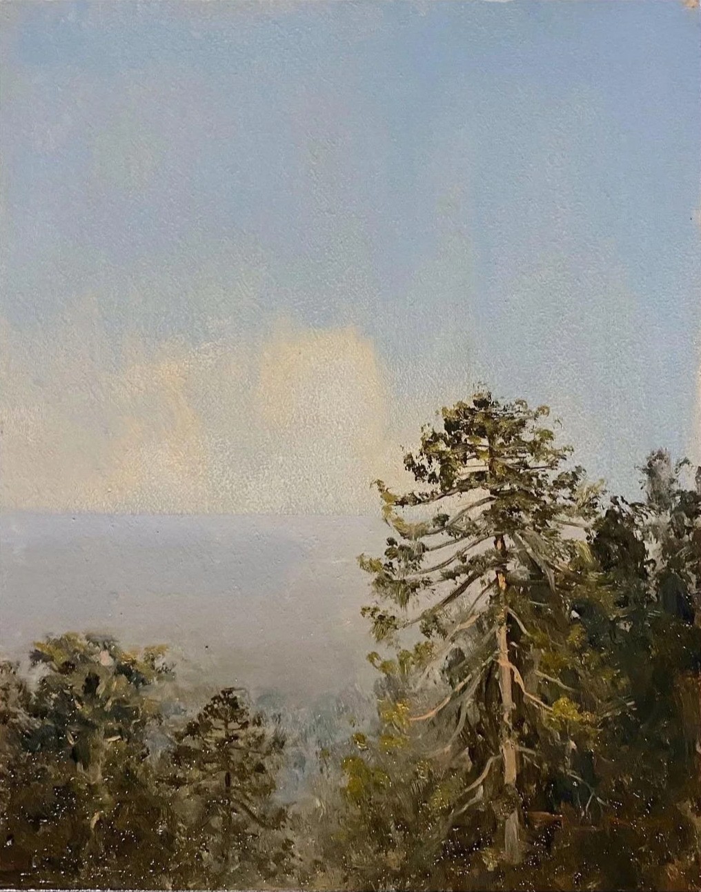 Bunya Mountains - 2023