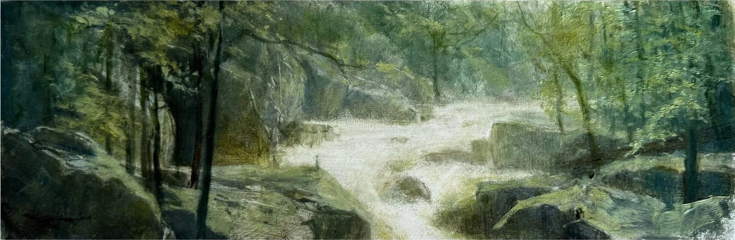 Springbrook National Park - Lethbridge Landscape Prize 2025