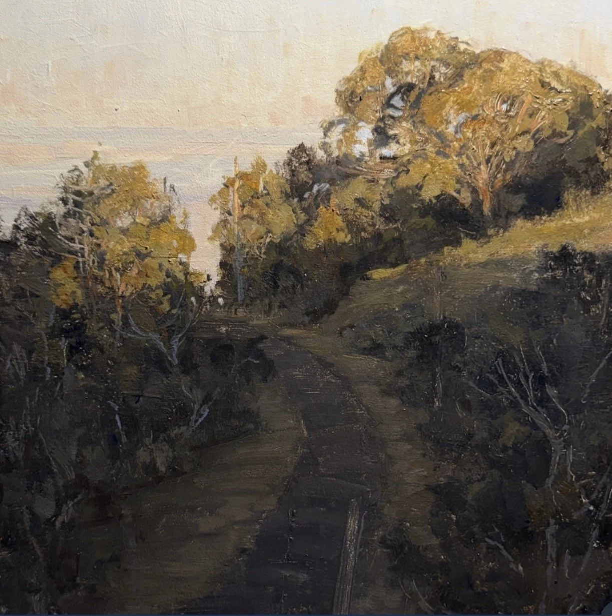 Last Light, Bunya Mountains