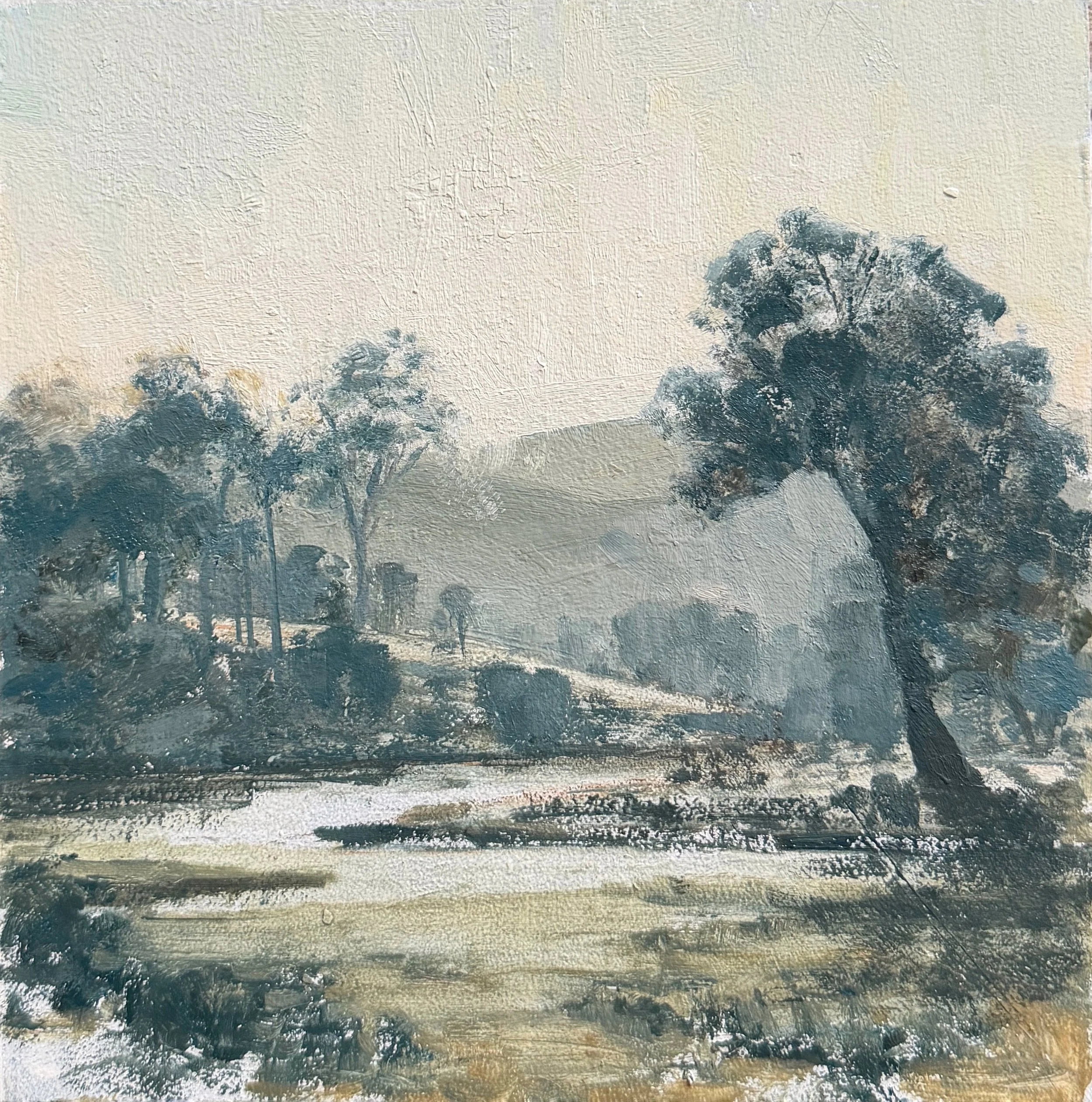 Morning Light - Rathdowney.JPG