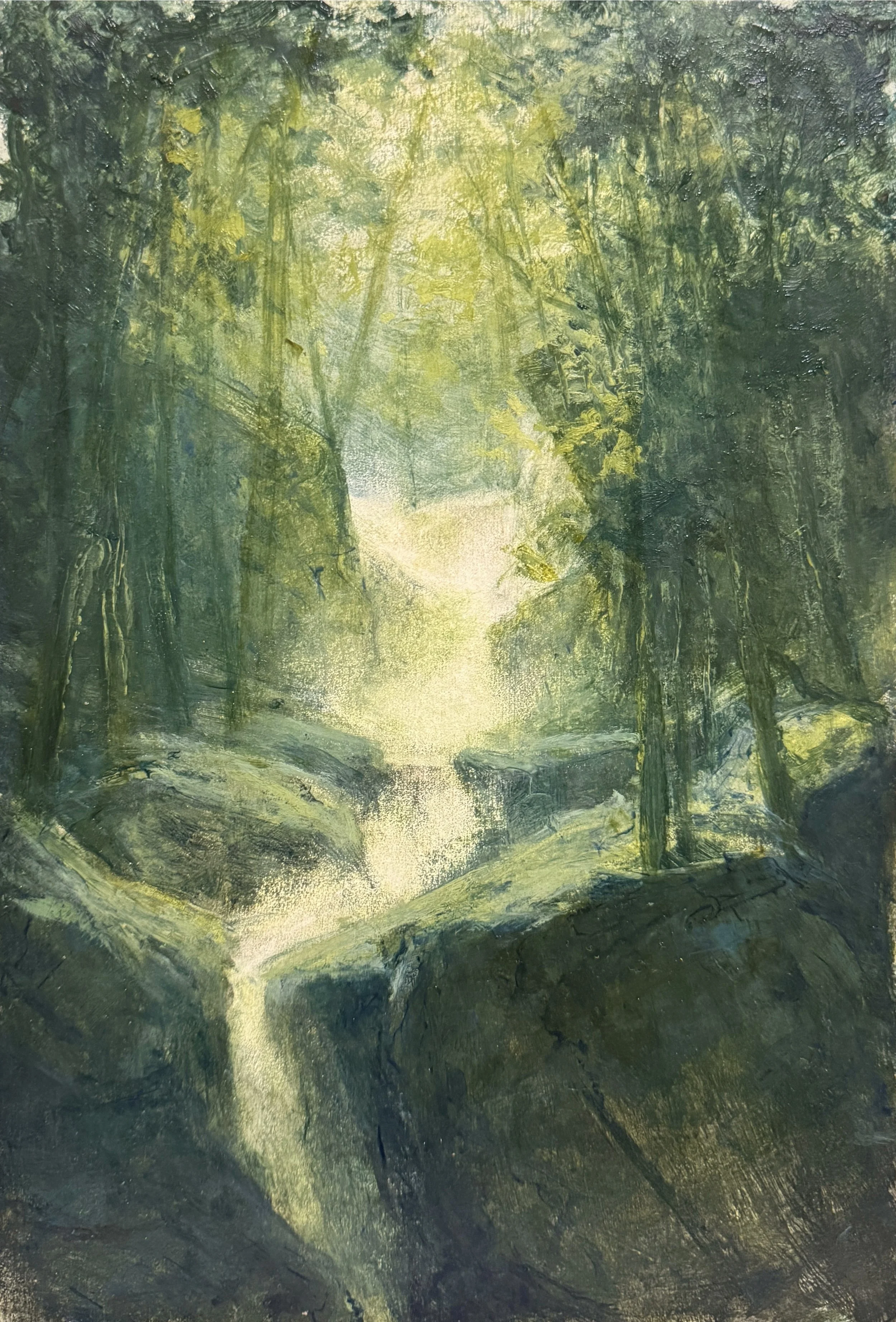 Springbrook Mists
