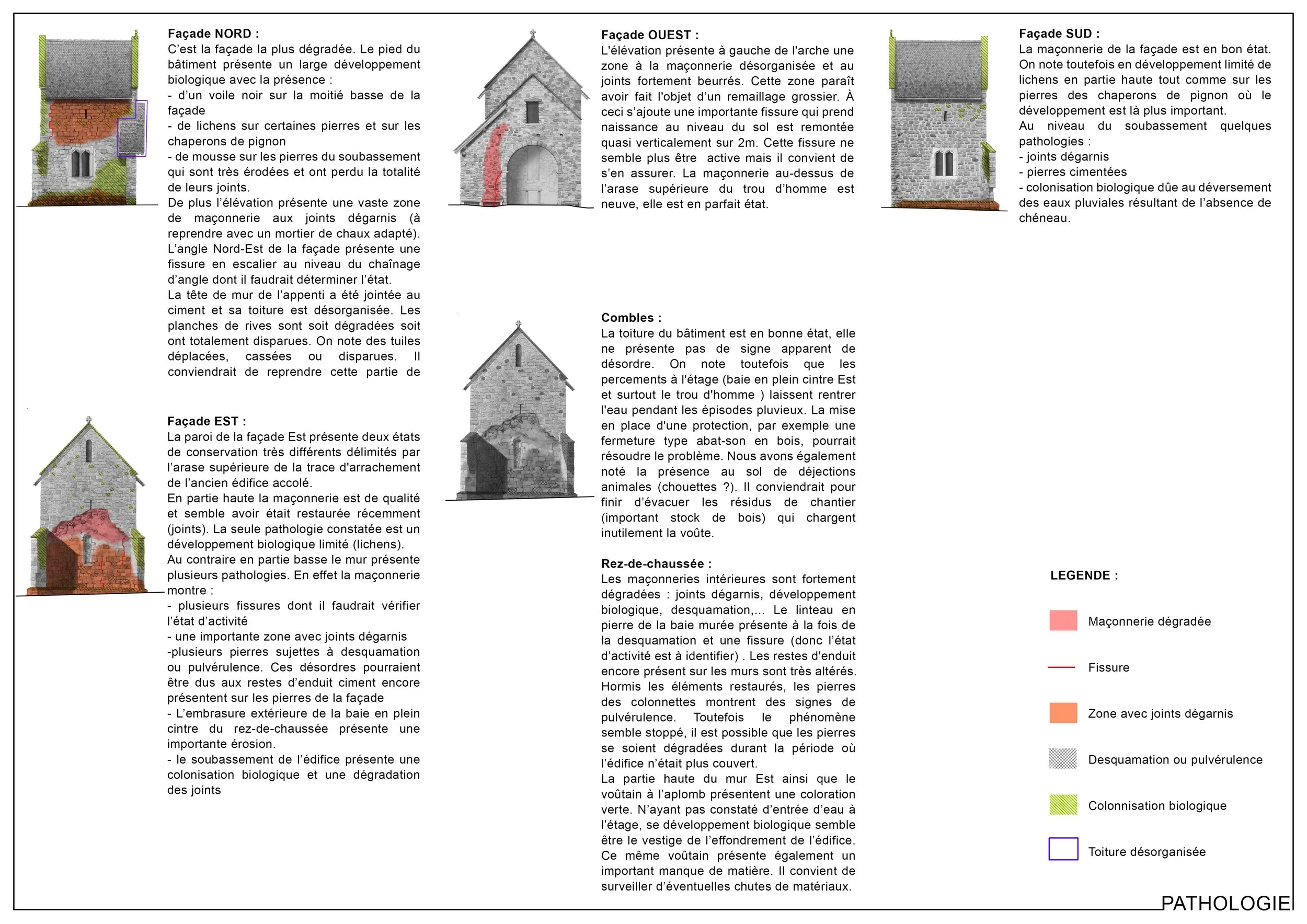 PATHOLOGIE MISE EN PAGE.jpg