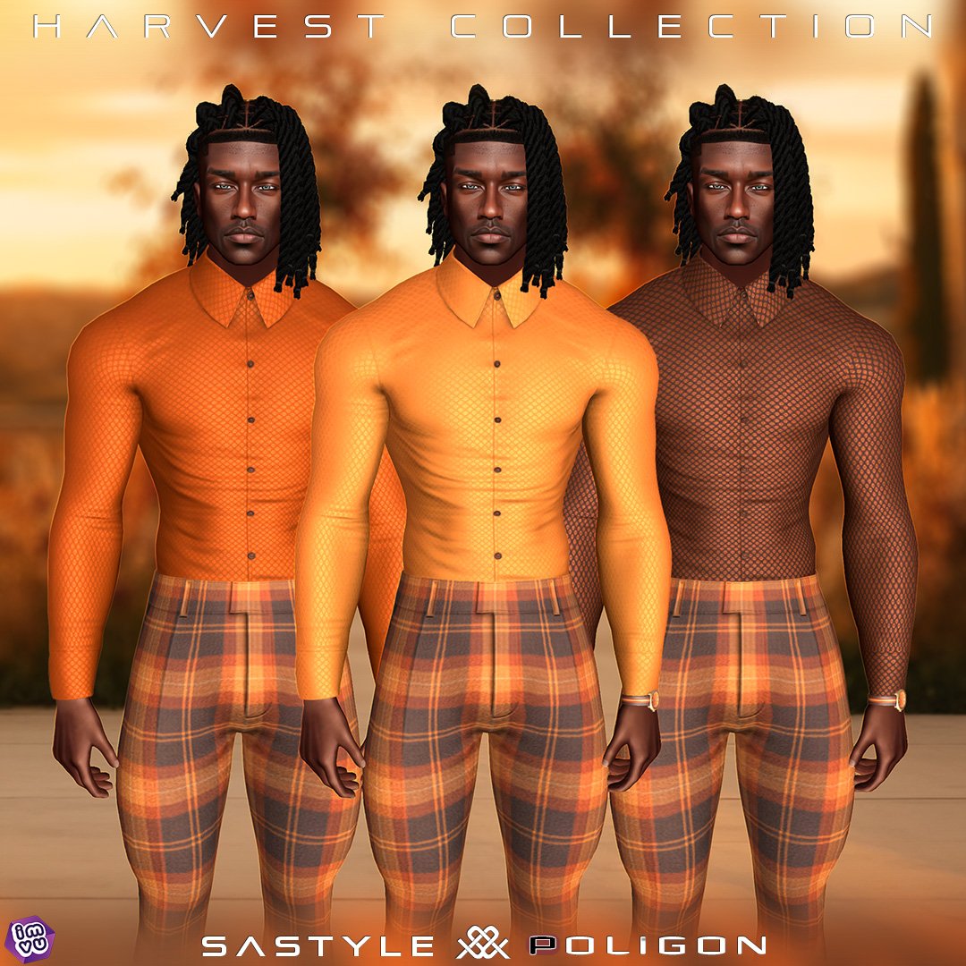 Harvest Collection 1.jpg