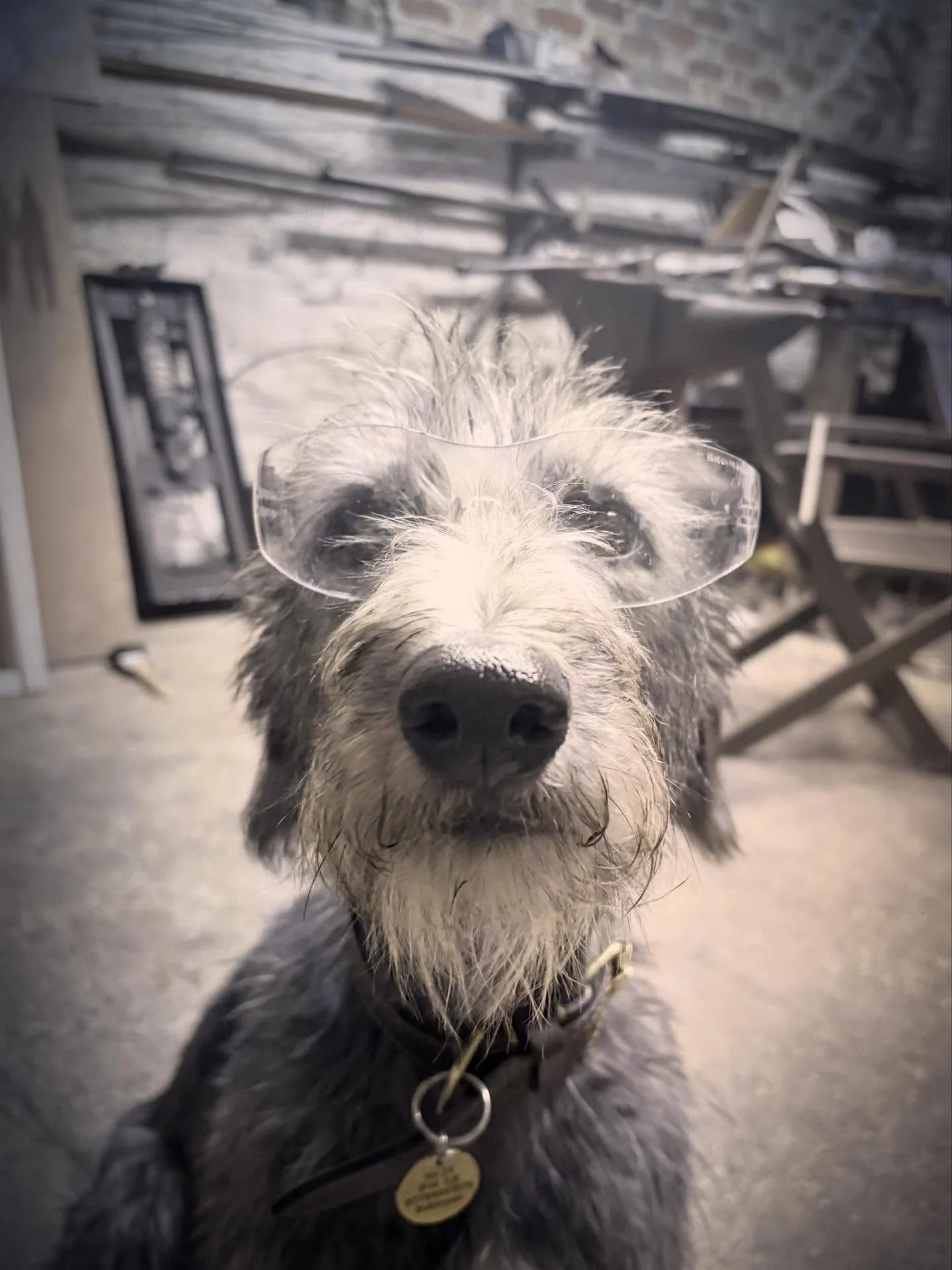 Safety first! #blacksmith #workshopdog