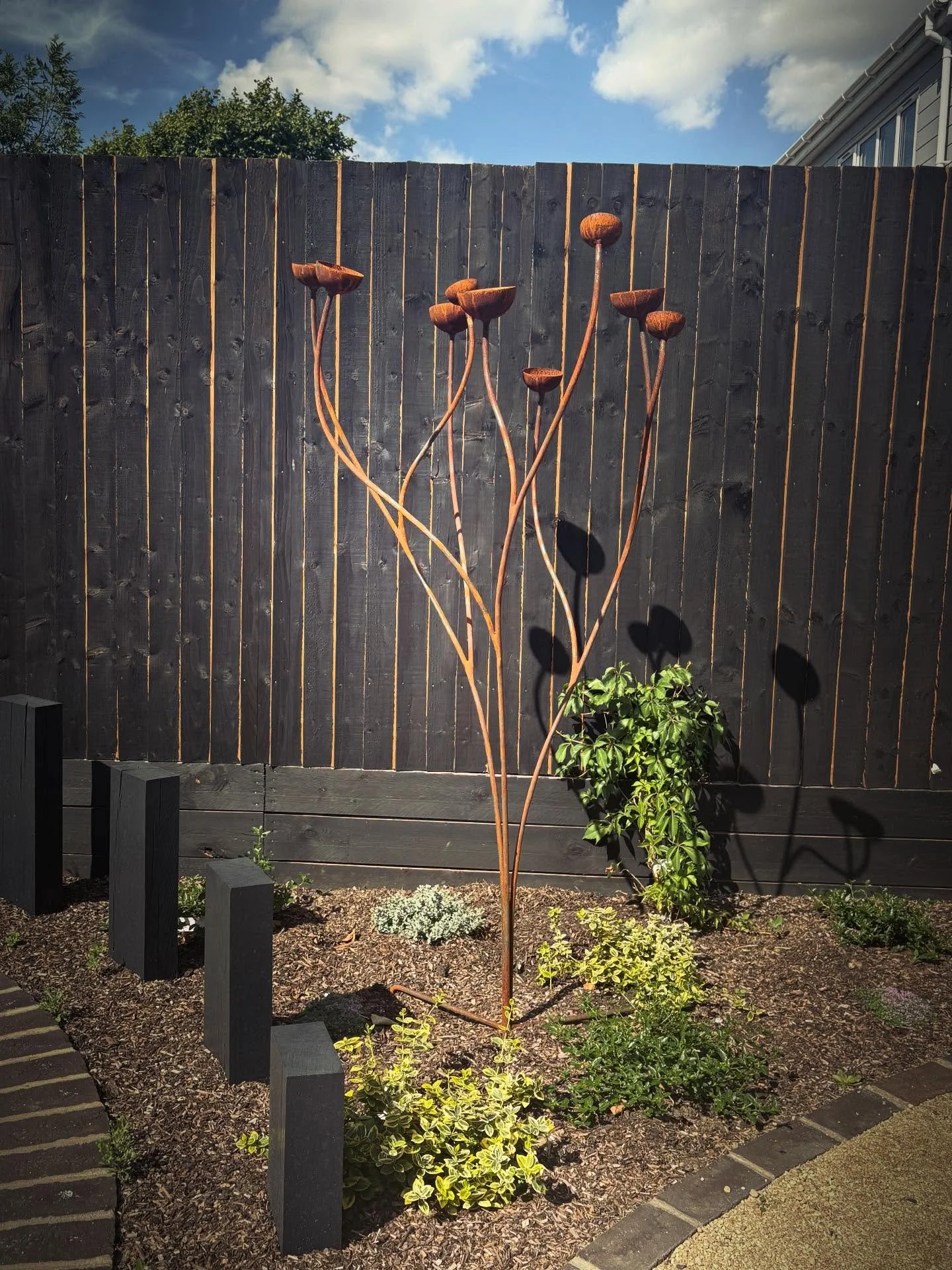 Water catcher sculpture in the autumn sunshine! #garden #gardenironwork #gardensculpture #organic #gardendesign