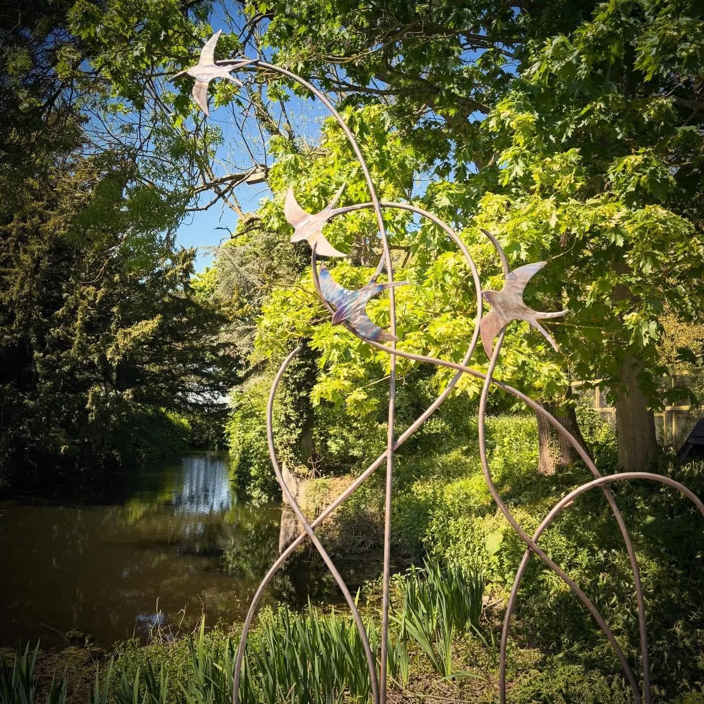 Swallows in flight, ready for the Galvanizers.
