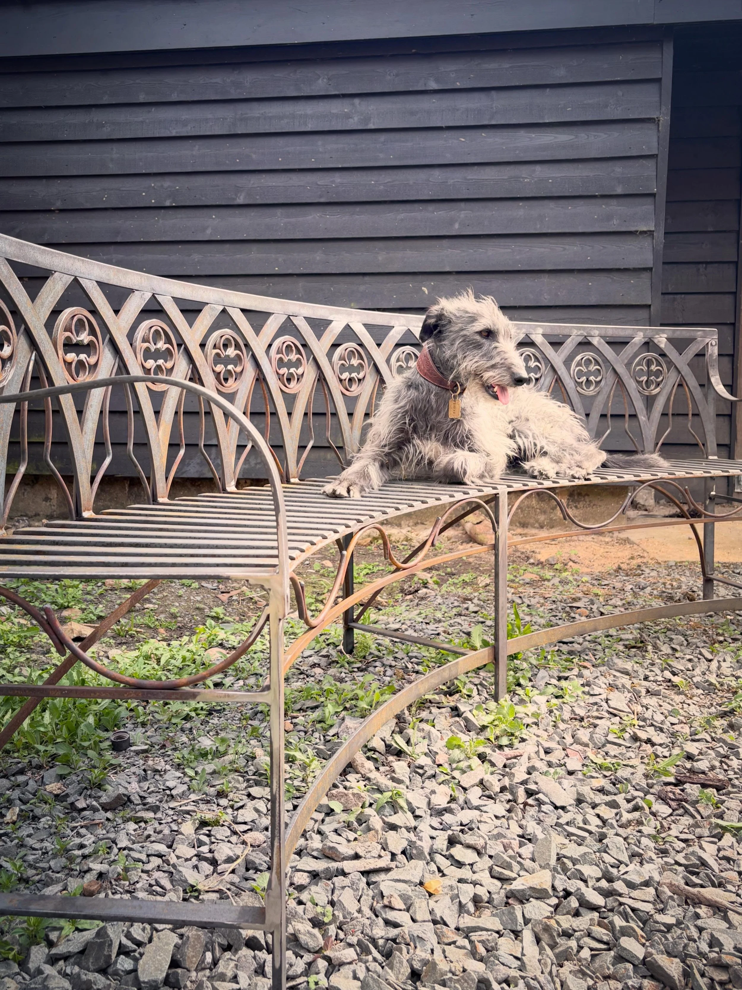 Bench complete! Triss approves.