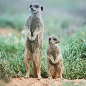 Africa photography by Lars Beineke