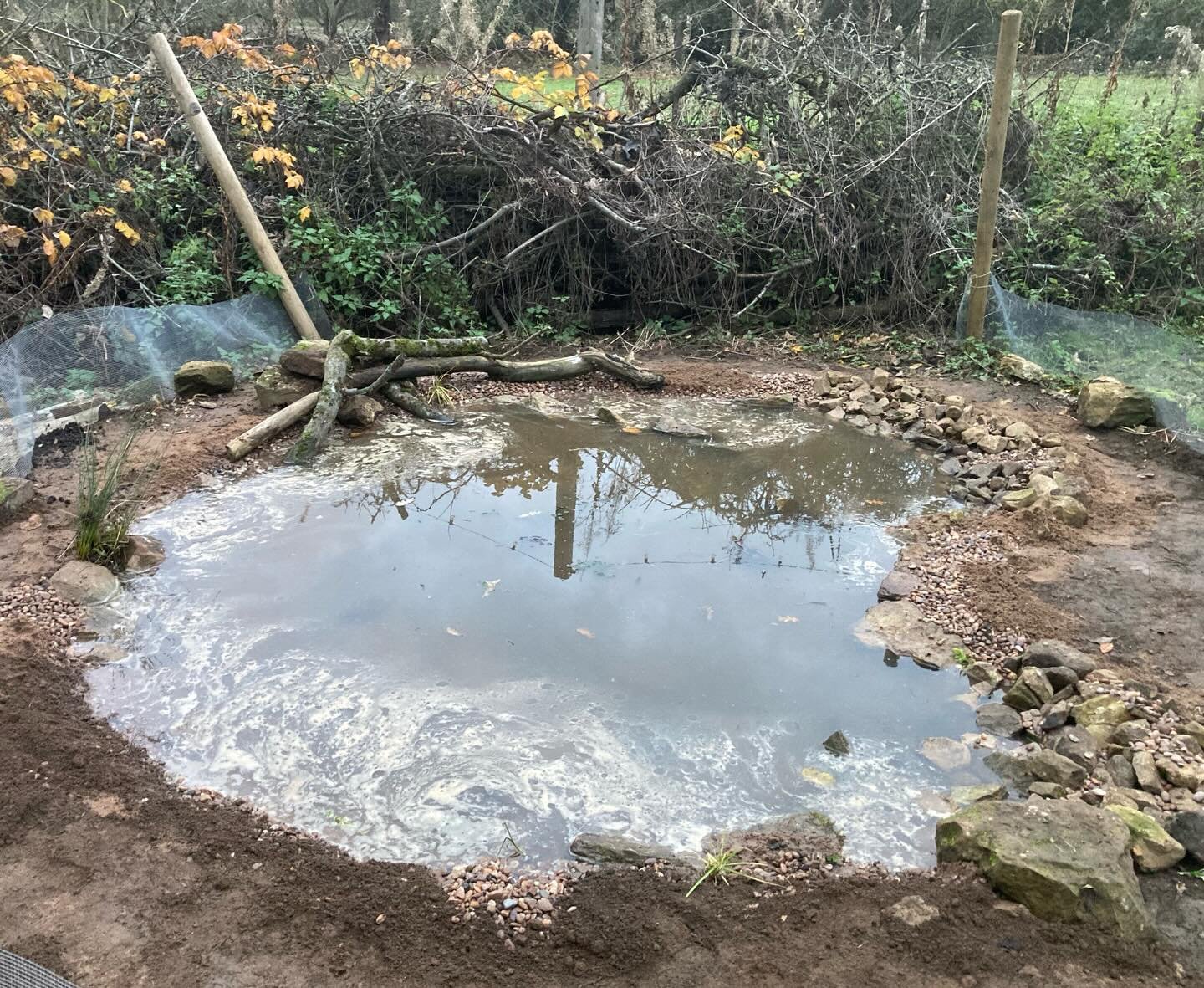 Another pond almost finished. Just needs a few more plants and for the wetland edge seed to germinate. 🌼 

Temporary fence to stop the chickens going for a swim 🐓. To be replaced by a more natural looking deadhedge or similar. 🪵 

#wildlifepond #t