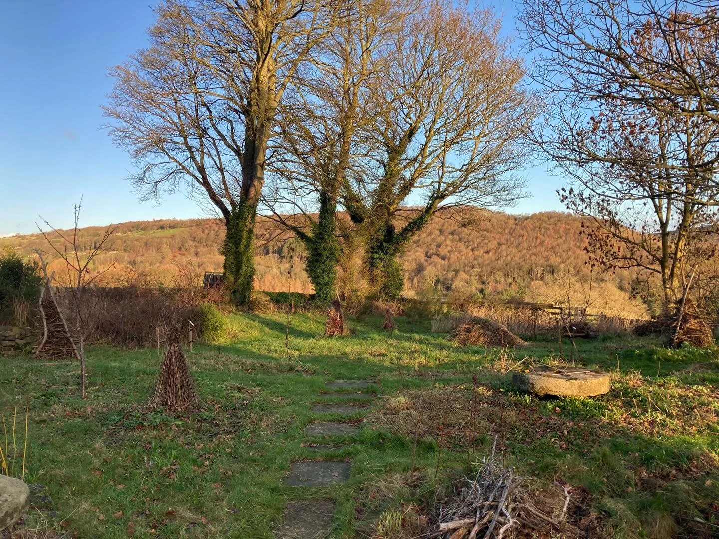 Spot the habitats! 🪵 👀 Winter structure is so important for keeping a garden looking interesting in the colder months. It can also serve as habitat for over-wintering invertebrates, mammals and amphibians. 

Can you find the: Twigwams, standing tea