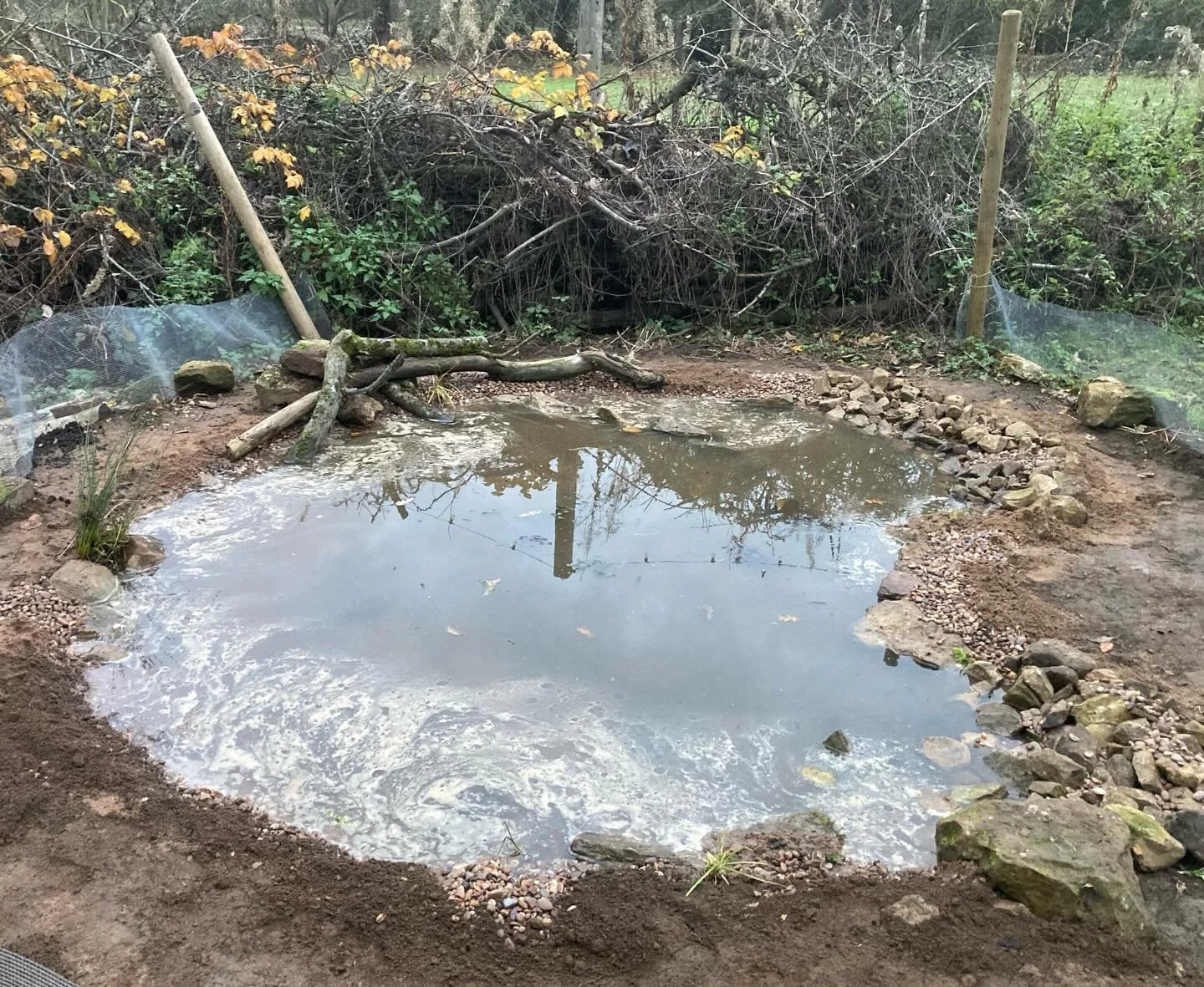 Another pond almost finished. Just needs a few more plants and for the wetland edge seed to germinate. 🌼 

Temporary fence to stop the chickens going for a swim 🐓. To be replaced by a more natural looking deadhedge or similar. 🪵 

#wildlifepond #t