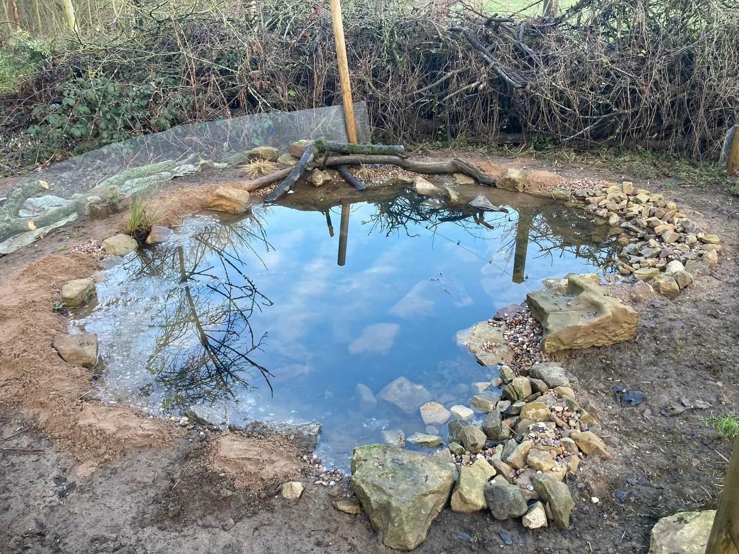 A pond we built in autumn. Ready to sow some pond edge mix this spring. Fence is a &lsquo;poultry&rsquo; attempt at keep the chickens 🐓 out but we&rsquo;ll be replacing with something more rustic and effective. 

There&rsquo;s a massive deadhedge th