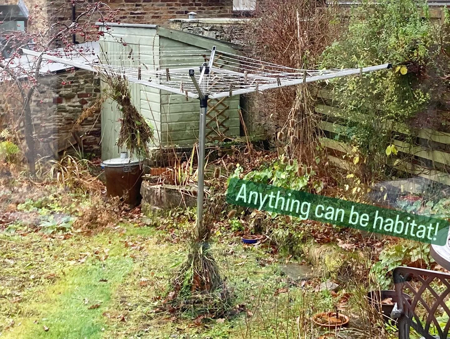 Firstly, make yourself a wildlife wedge! They look great 🍕. Then when you cut it, make yourself a wildlife whirligig washing line!!! 

#wildlifegardening #gardenwildlife #gardener #wildlifegarden #meadow #wildflowers #sheffieldgardener #thewildlifeg