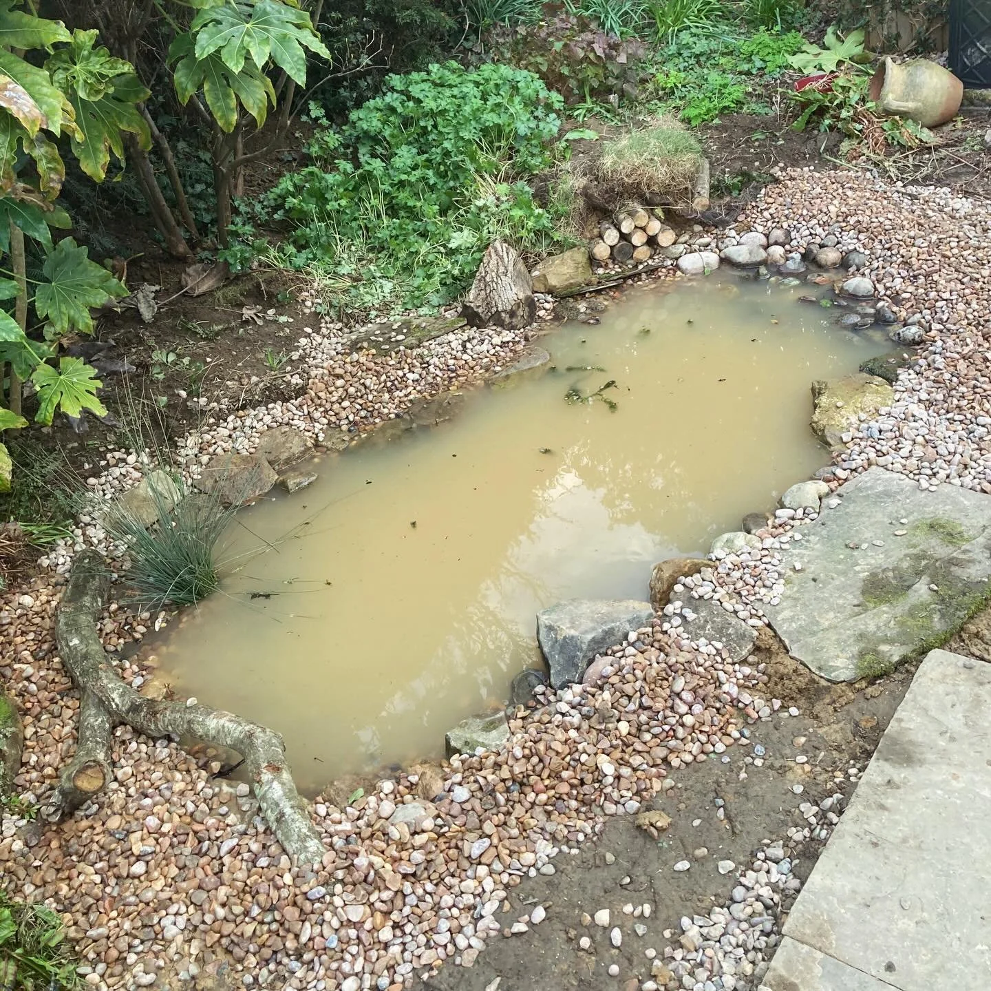 🐸 Here&rsquo;s a recent emergency pond renovation we&rsquo;ve finished building. The old liner was leaking so we decided to try and start in February before spawning, however the frogs had other ideas. The first spawn was 8th Feb which seems crazy e