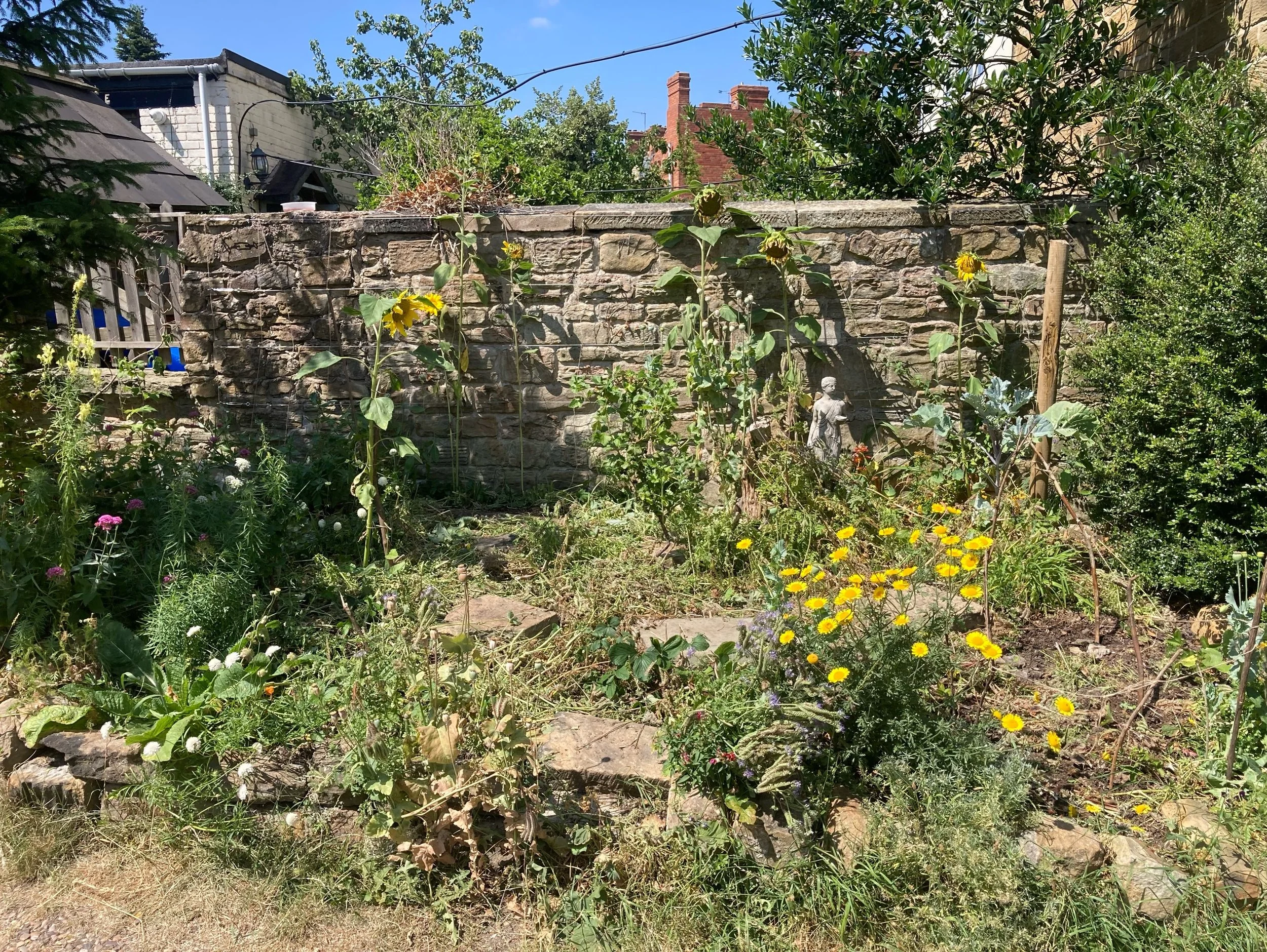 The beginnings of a mini food forest. Looks a bit &ldquo;messy&rdquo; at the moment but that&rsquo;s mainly the chop and drop Phacelia that has been feeding the pollinators until now.  It&rsquo;s now acting as a great mulch between the gooseberry and