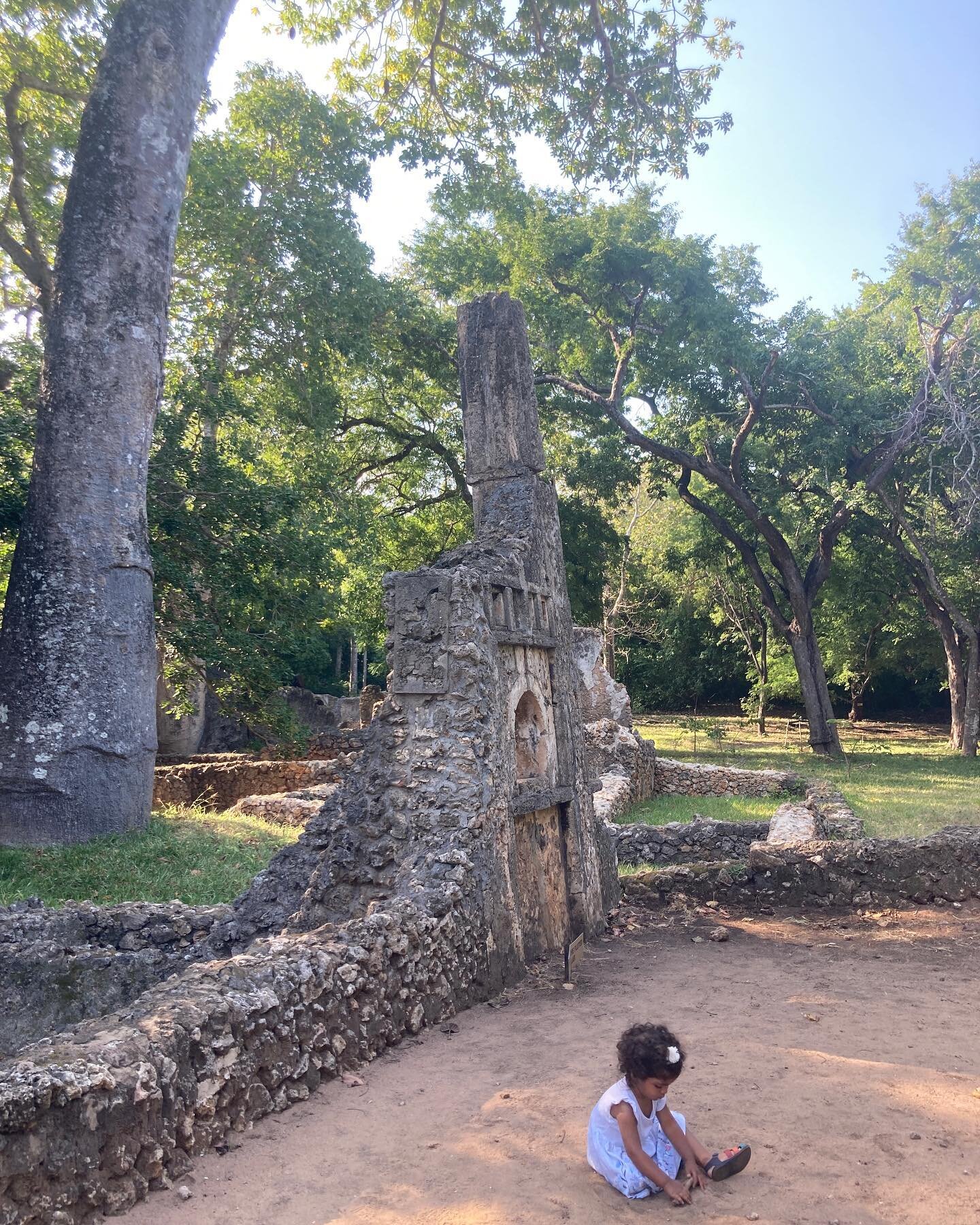 GEDE 🌳

The beautiful Gede ruins, a 12th century medieval Swahili coastal settlement that was mysteriously abandoned in the 16th century (our guide said there was a pandemic 😬).

The ruins are overgrown with stunning indigenous forest trees, includ