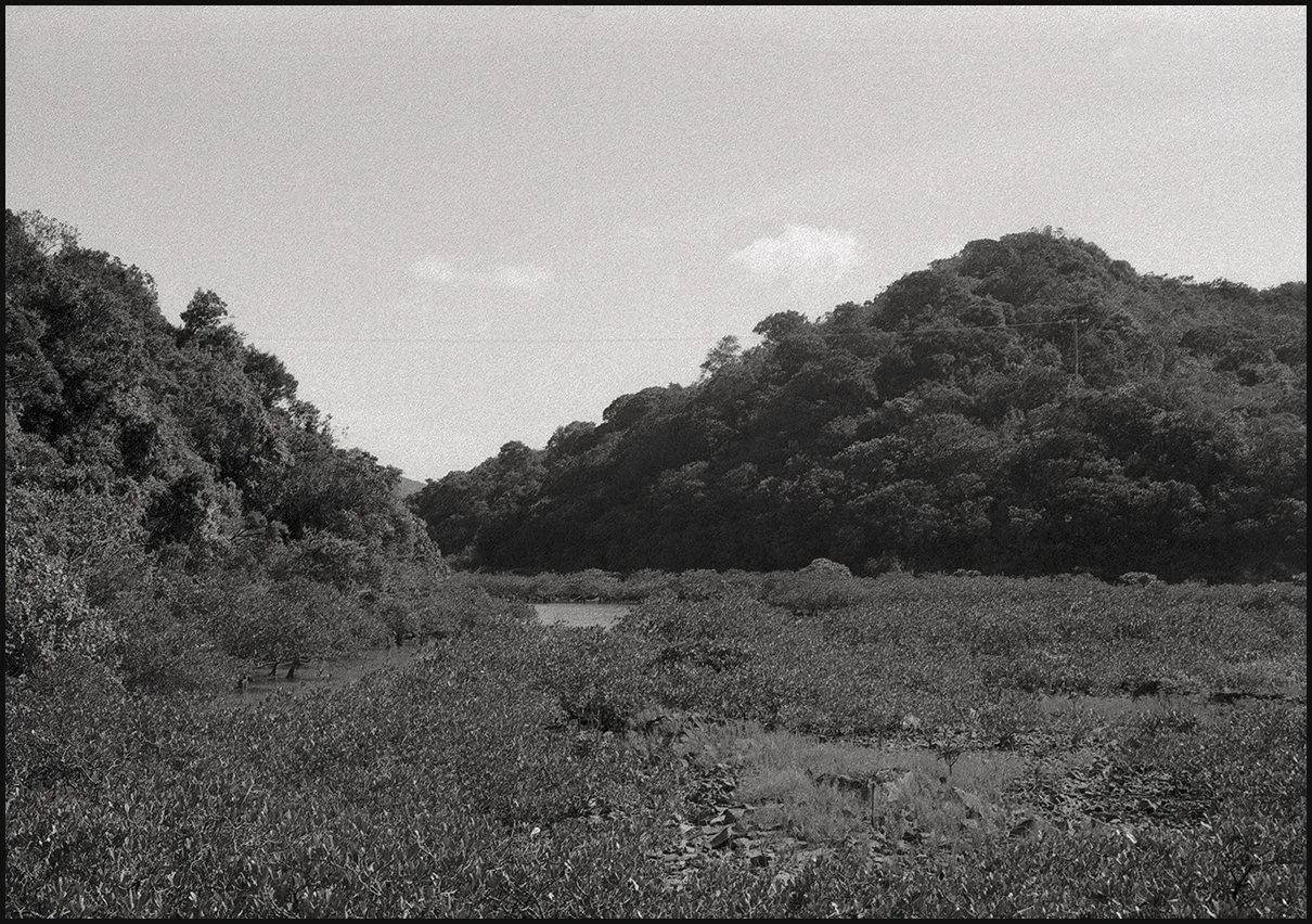 Yim Tsim Tsai Performing Arts Festival, 2025.